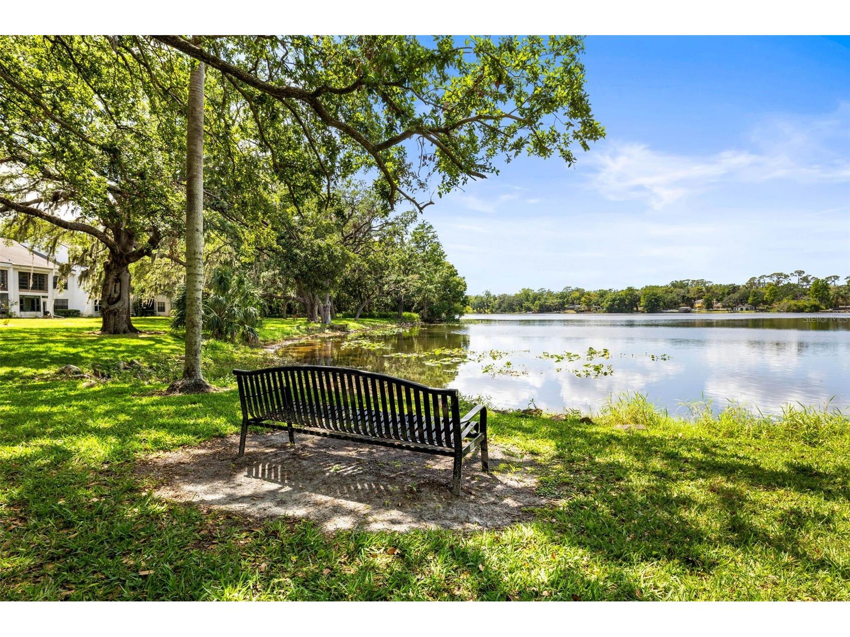 7809 Niagara Avenue #2105 Tampa FL 33617 TB8505541 image33