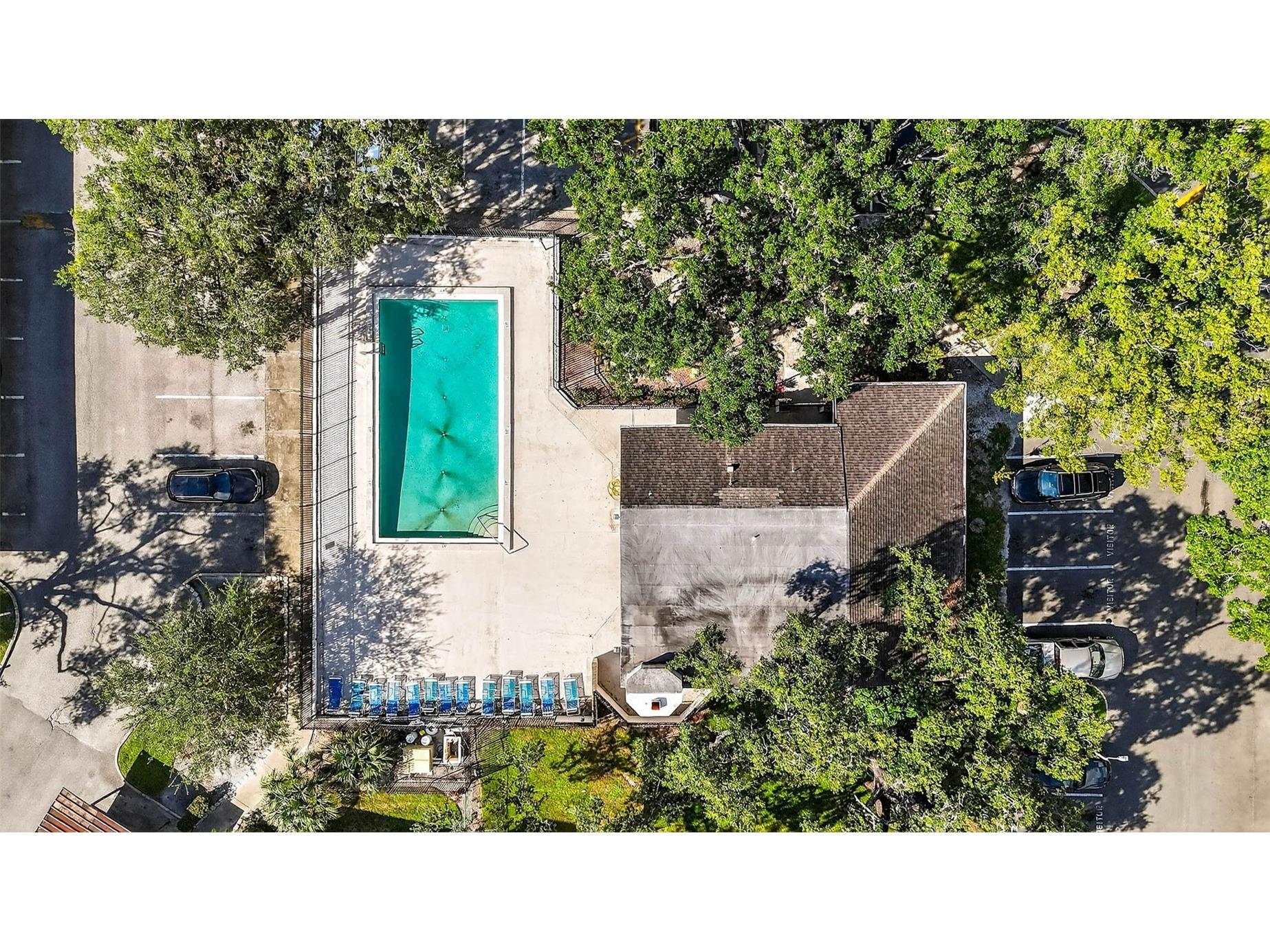 7809 Niagara Avenue #2105 Tampa FL 33617 TB8505541 image39