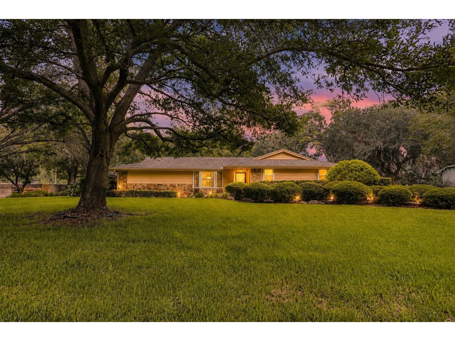 7809 Pineview Drive Odessa FL 33556 TB8515015 image1