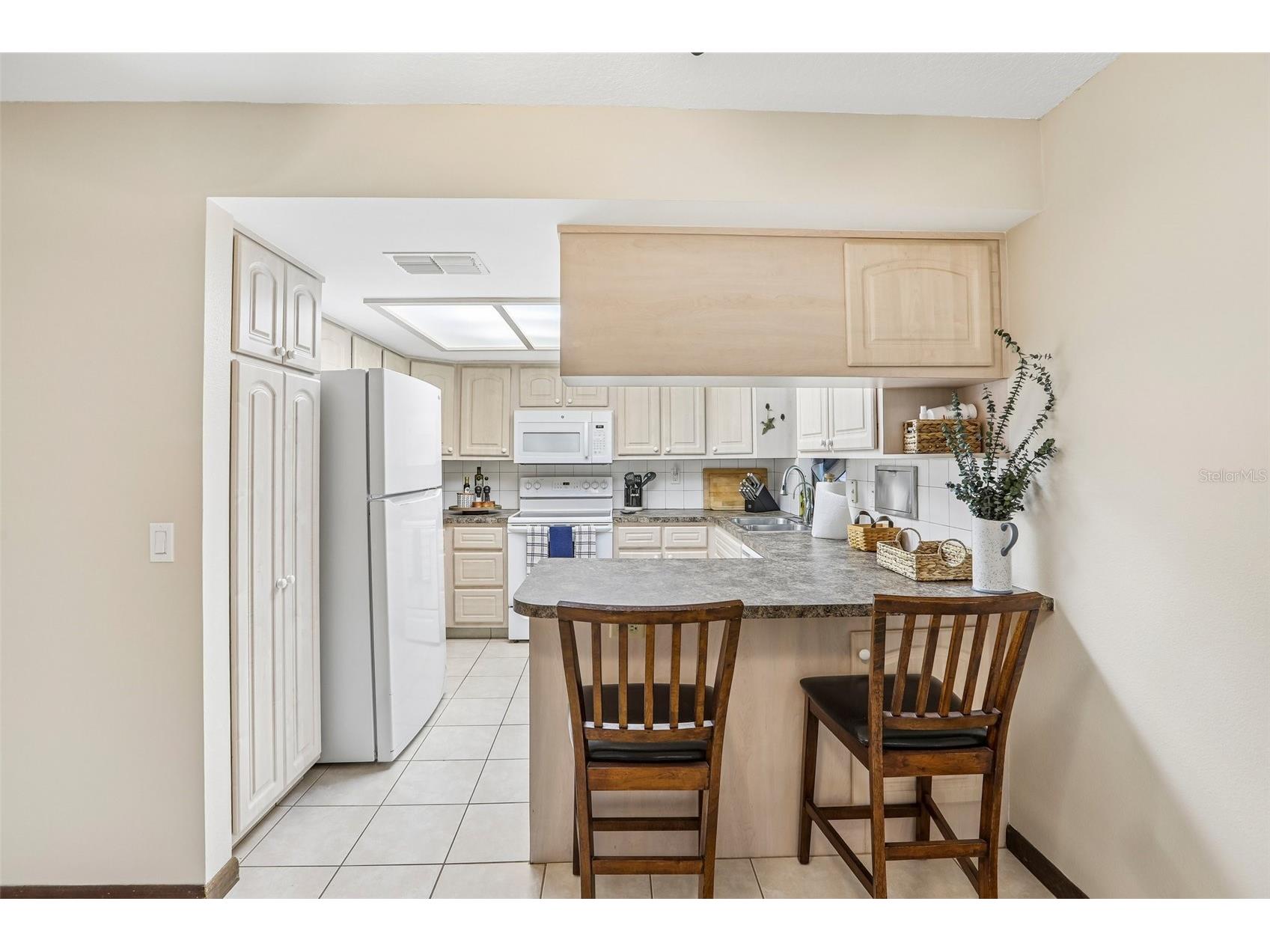 7809 Pineview Drive Odessa FL 33556 TB8515015 image14