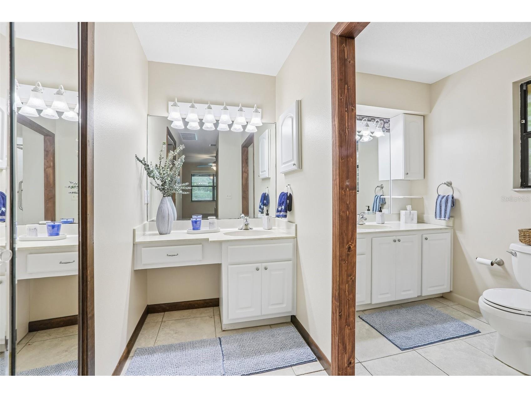 7809 Pineview Drive Odessa FL 33556 TB8515015 image19