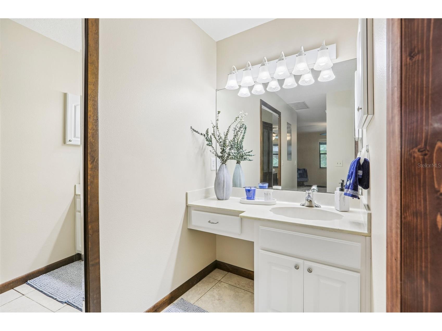 7809 Pineview Drive Odessa FL 33556 TB8515015 image21