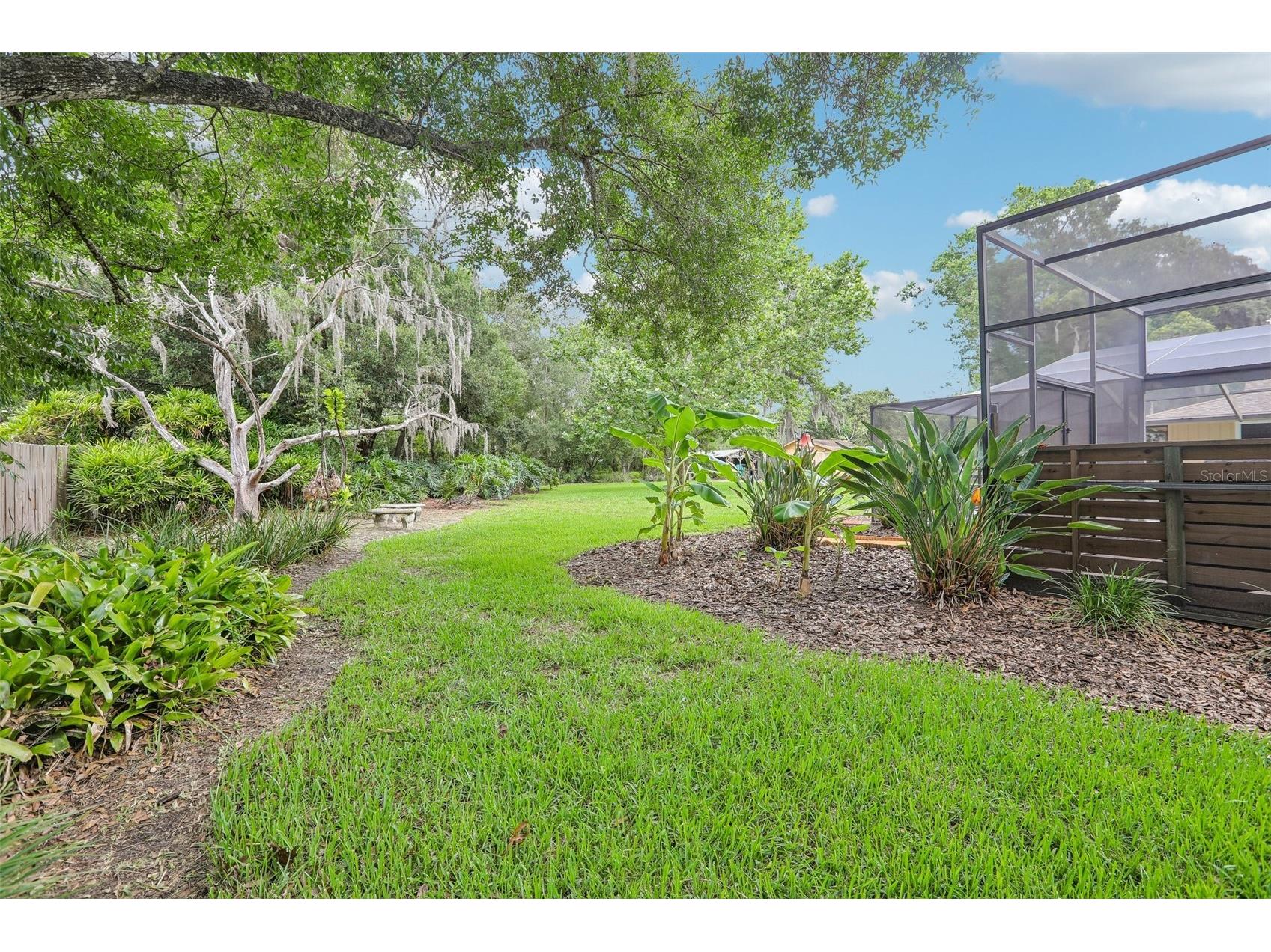 7809 Pineview Drive Odessa FL 33556 TB8515015 image33