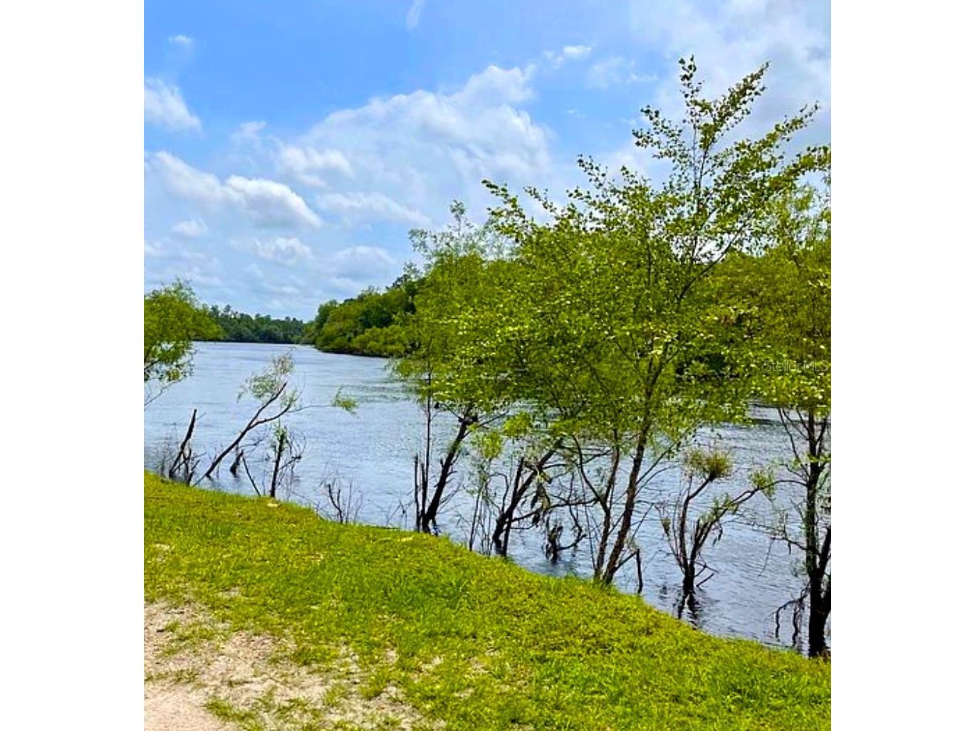 7809 SW 12th Place Bell FL 32619 GC541296 image19