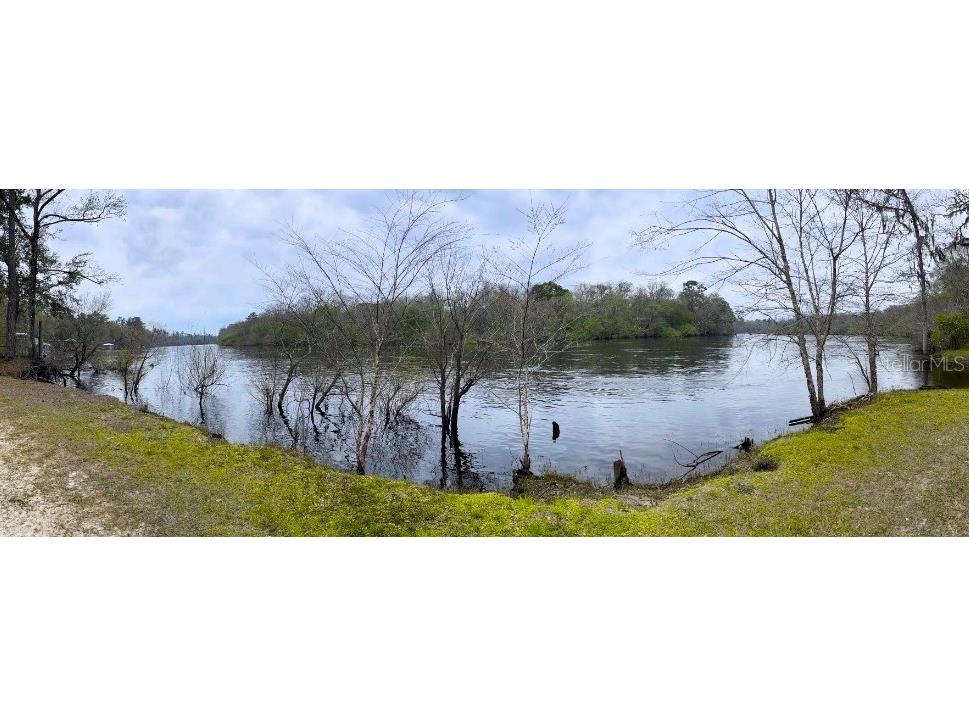 7809 SW 12th Place Bell FL 32619 GC541296 image20
