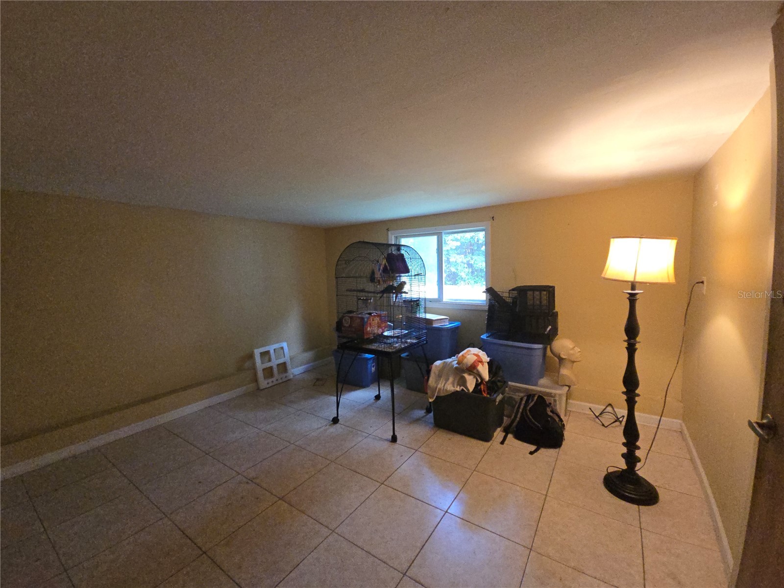 7809 Waxwood Drive Port Richey FL 34668 A4699644 image24