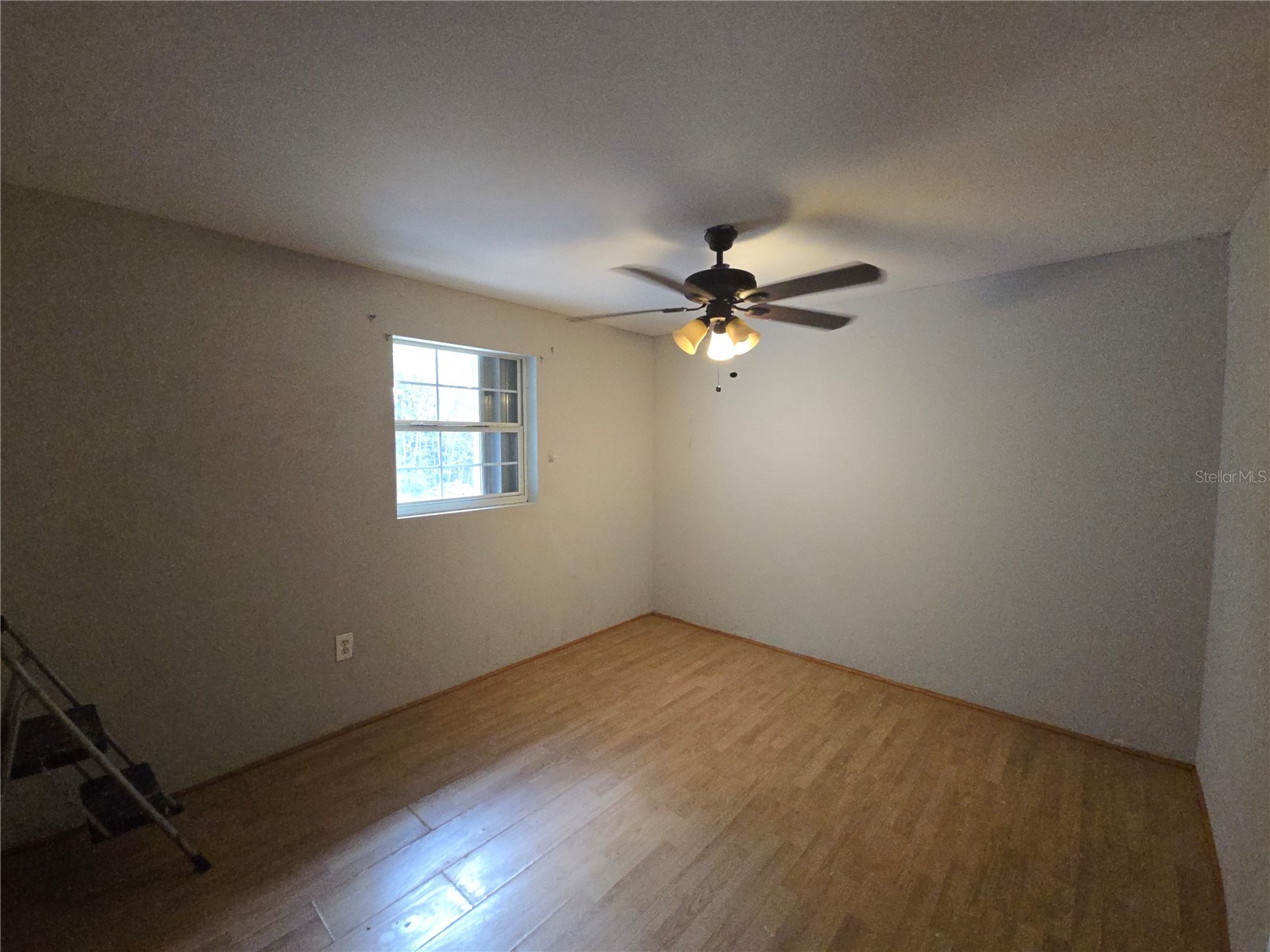 7809 Waxwood Drive Port Richey FL 34668 A4699644 image26
