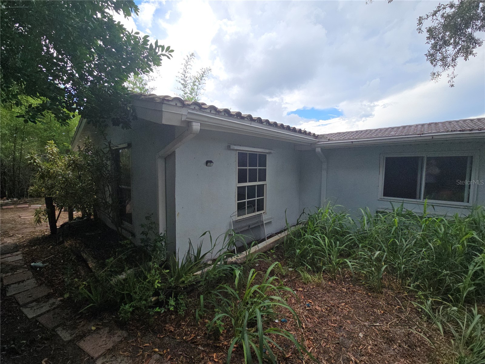 7809 Waxwood Drive Port Richey FL 34668 A4699644 image4