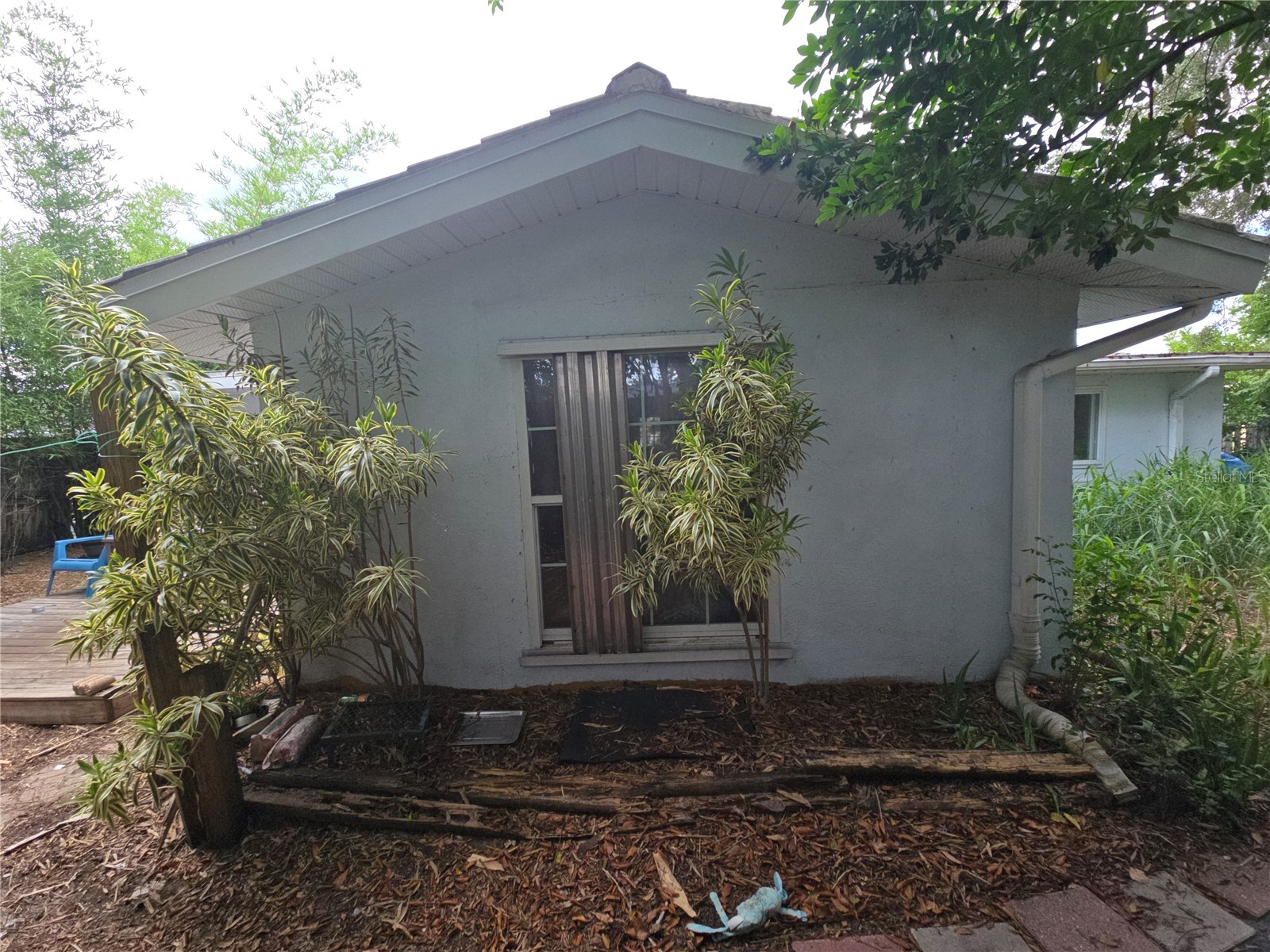 7809 Waxwood Drive Port Richey FL 34668 A4699644 image5