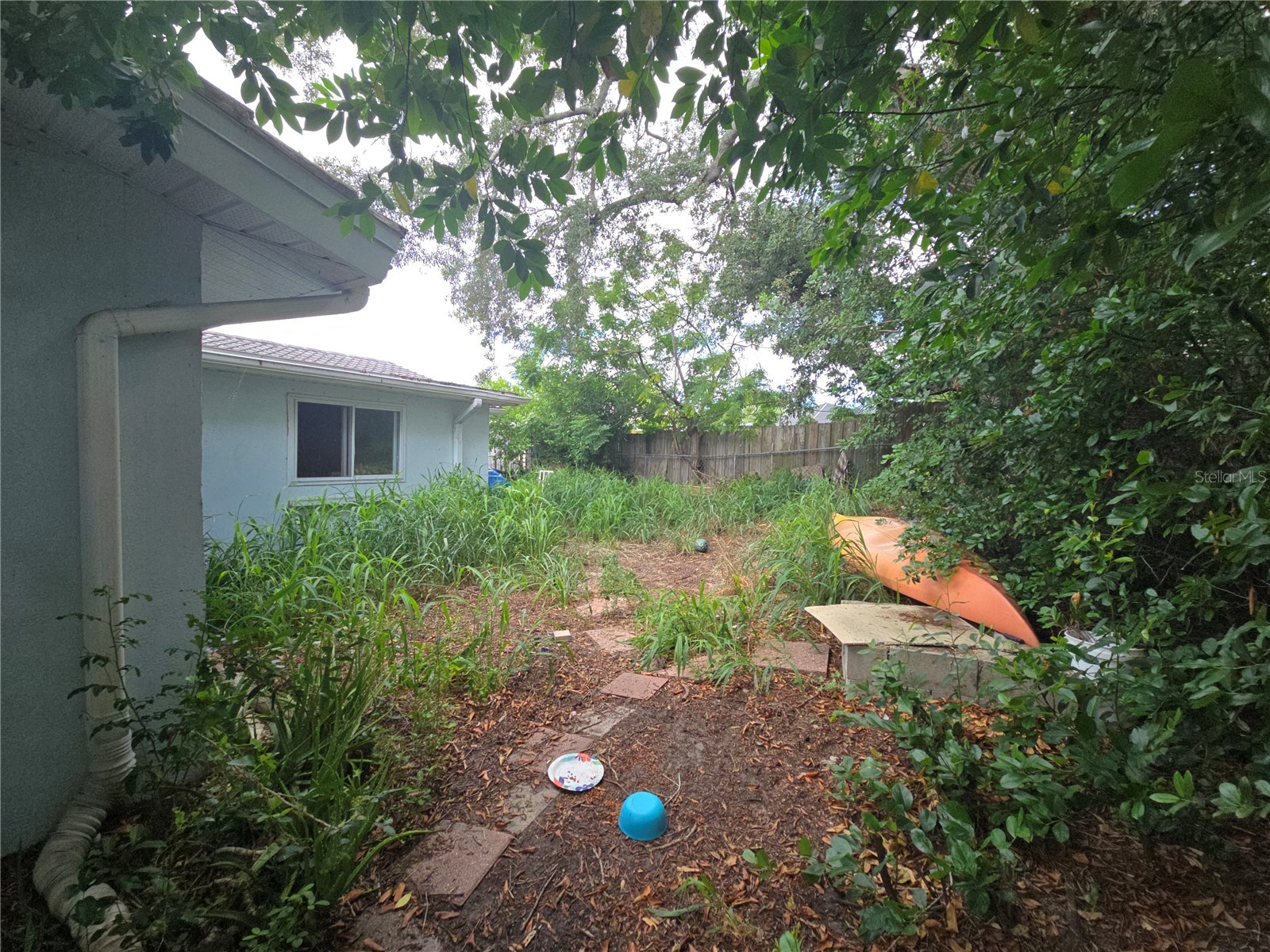 7809 Waxwood Drive Port Richey FL 34668 A4699644 image8