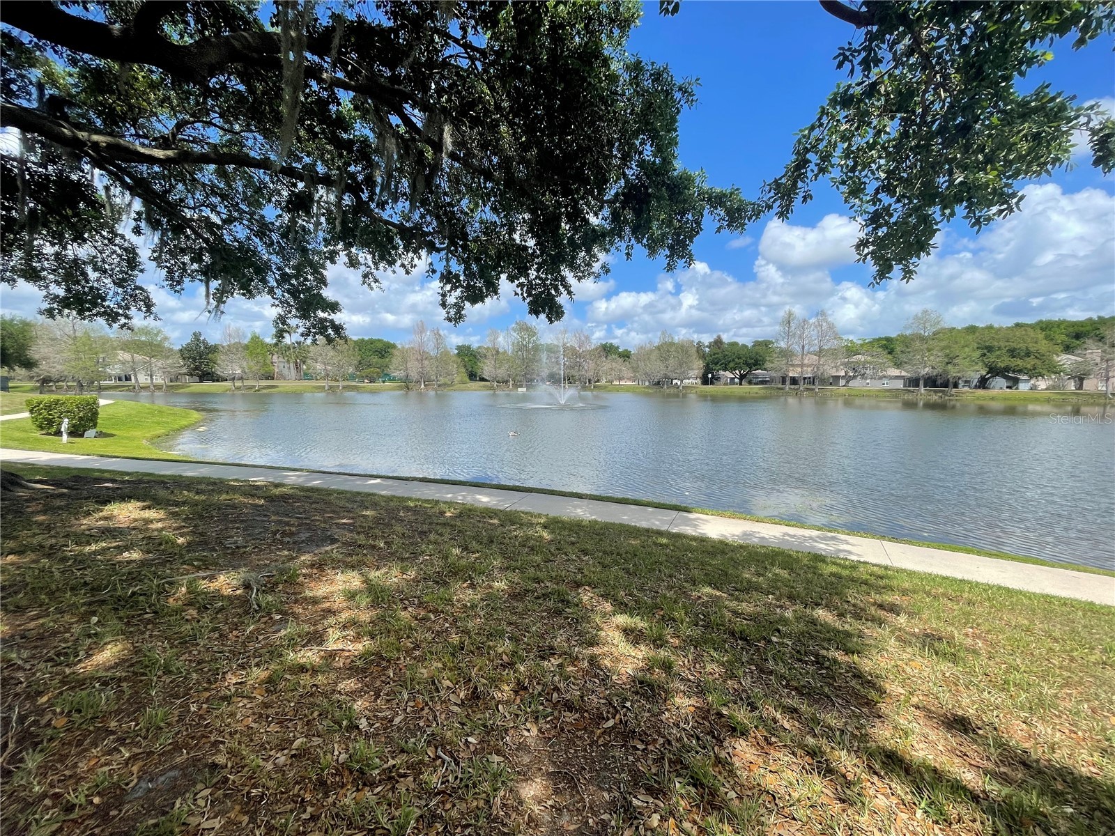 781 Seneca Meadows Road Winter Springs FL 32708 O6393459 image38