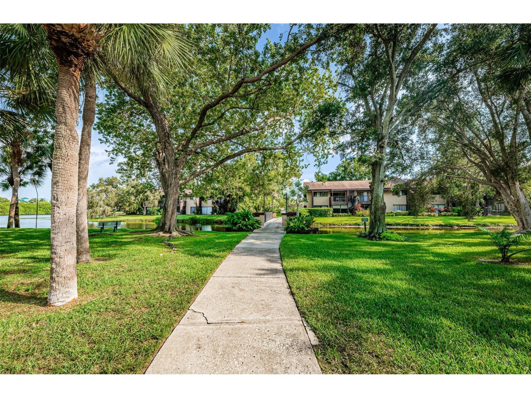 781 Village Lake Terrace N #101A Saint Petersburg FL 33716 O6406981 image42