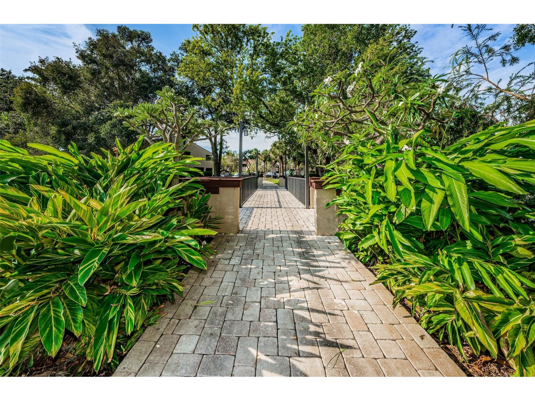 781 Village Lake Terrace N #101A Saint Petersburg FL 33716 O6406981 image46