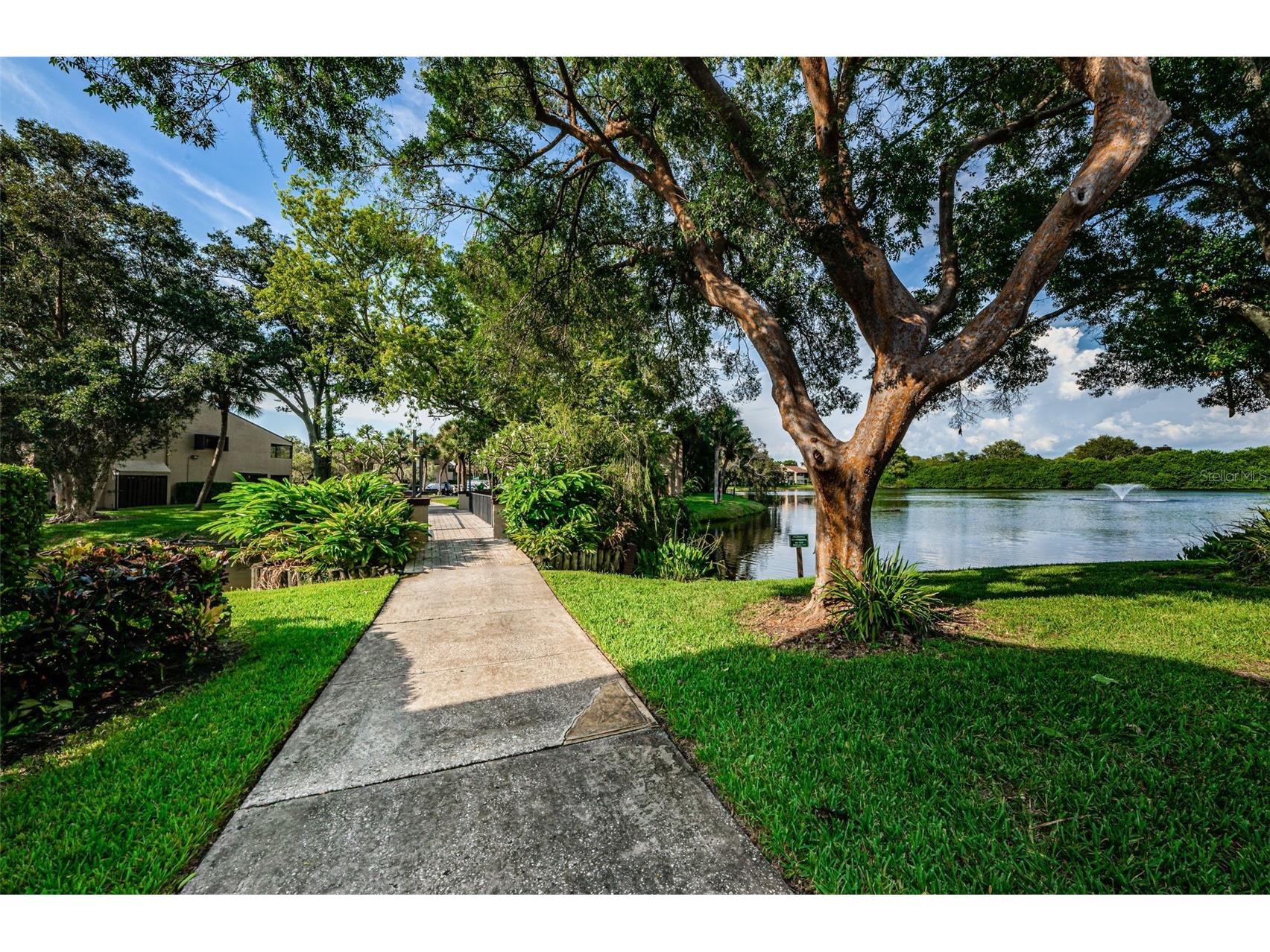781 Village Lake Terrace N #101A Saint Petersburg FL 33716 O6406981 image47