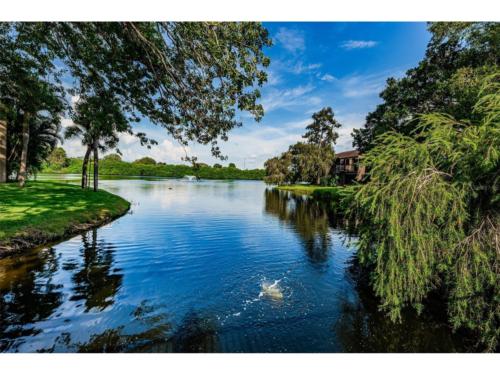 781 Village Lake Terrace N #101A Saint Petersburg FL 33716 O6406981 image48