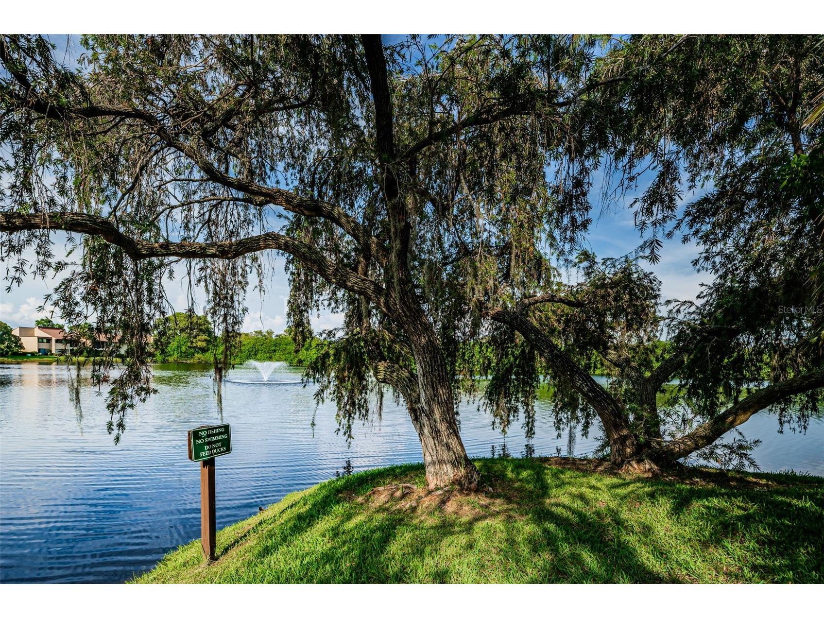 781 Village Lake Terrace N #101A Saint Petersburg FL 33716 O6406981 image49