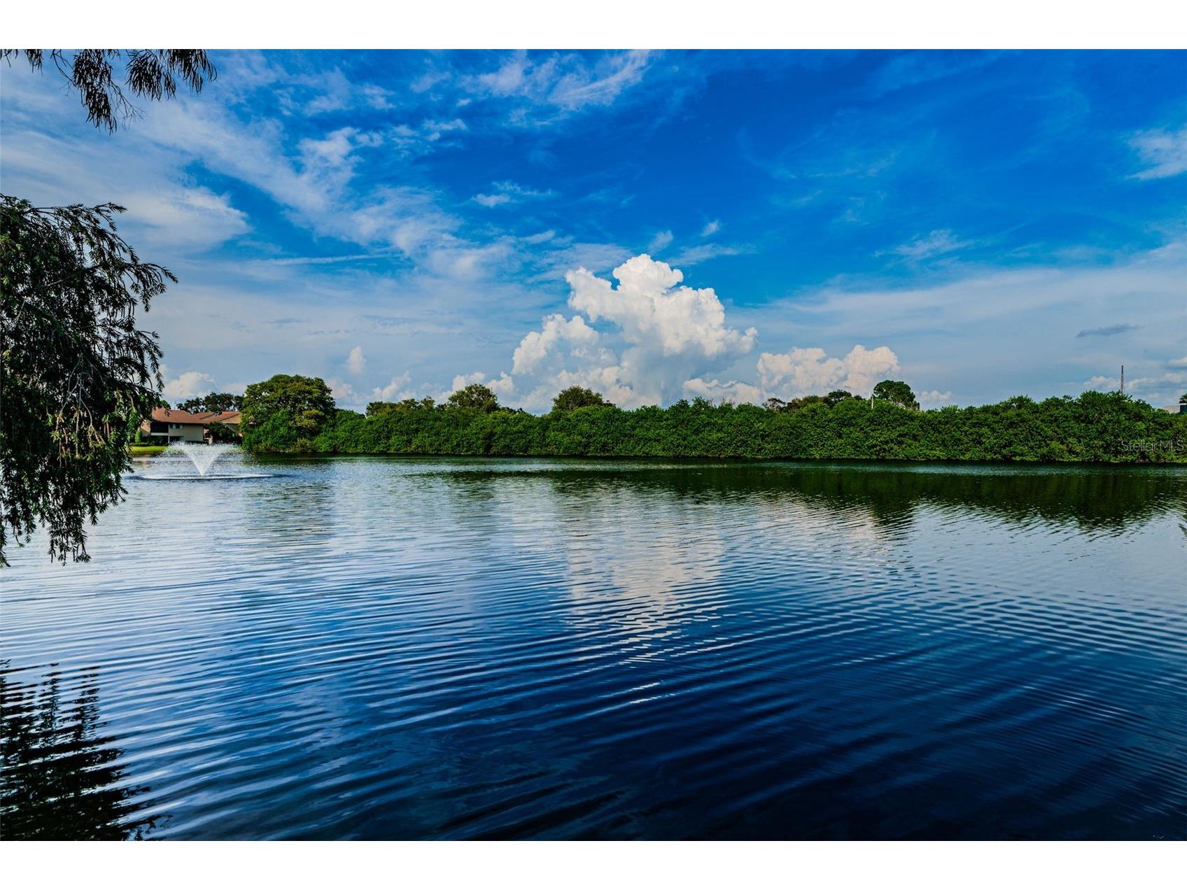 781 Village Lake Terrace N #101A Saint Petersburg FL 33716 O6406981 image50