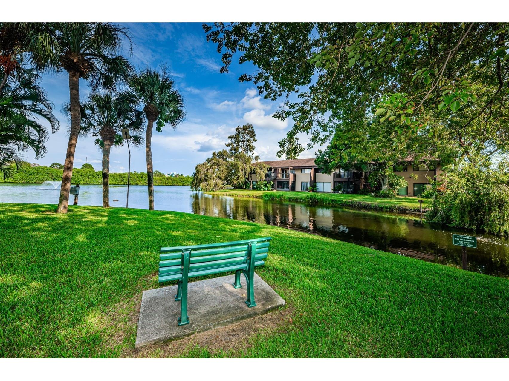 781 Village Lake Terrace N #101A Saint Petersburg FL 33716 O6406981 image51