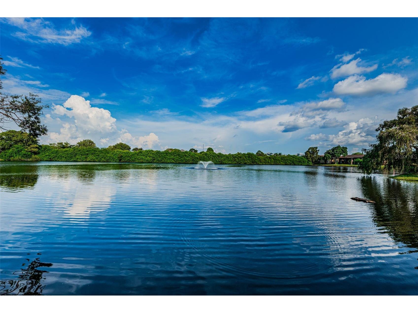 781 Village Lake Terrace N #101A Saint Petersburg FL 33716 O6406981 image52