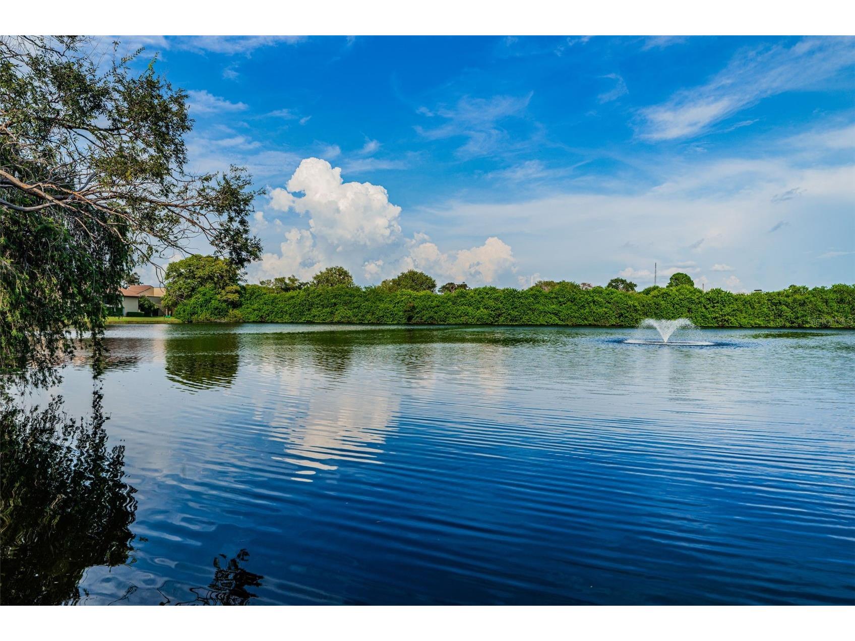 781 Village Lake Terrace N #101A Saint Petersburg FL 33716 O6406981 image53