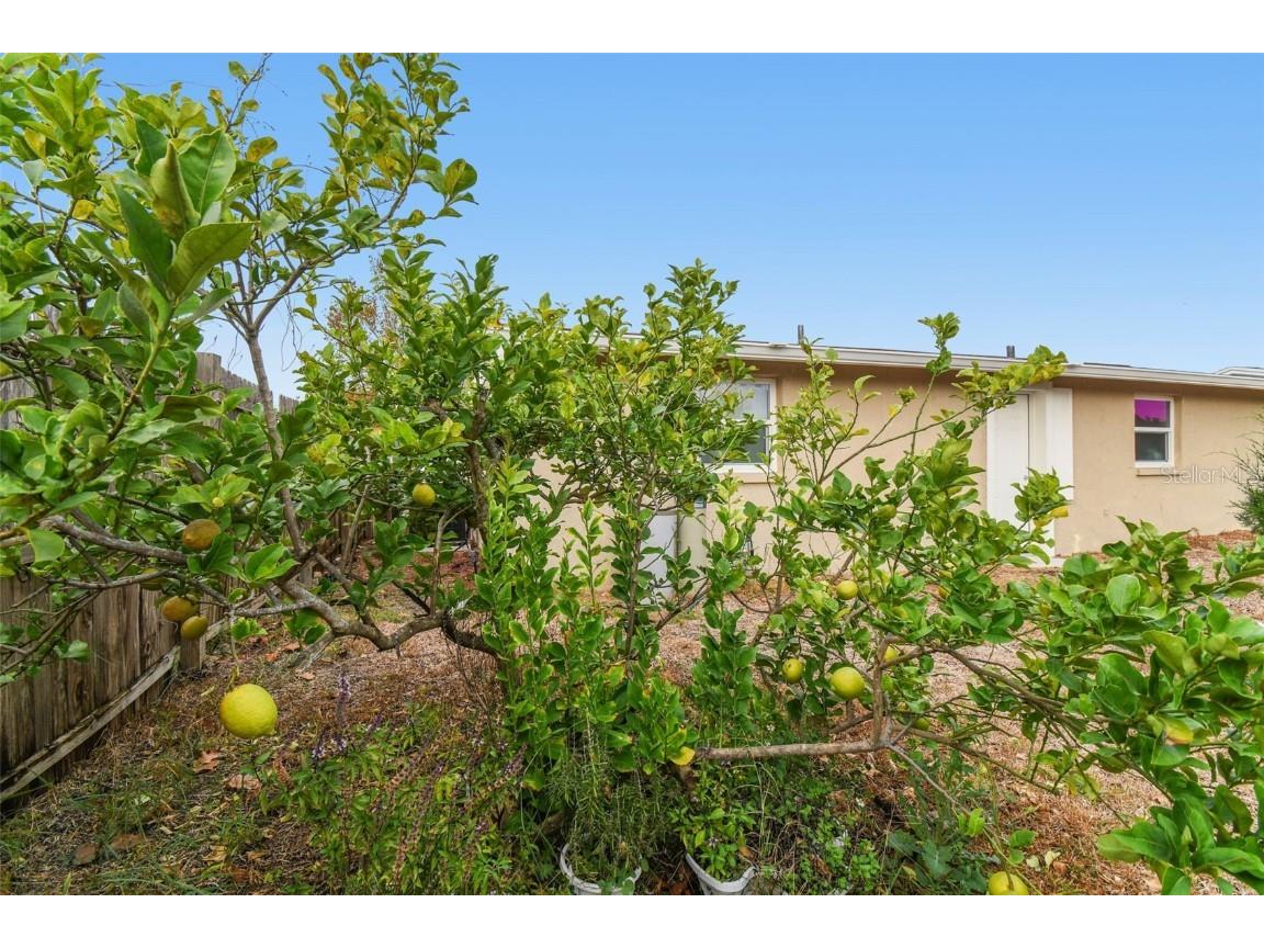 7810 Birchwood Dr Port Richey FL 34668 TB8455223 image43