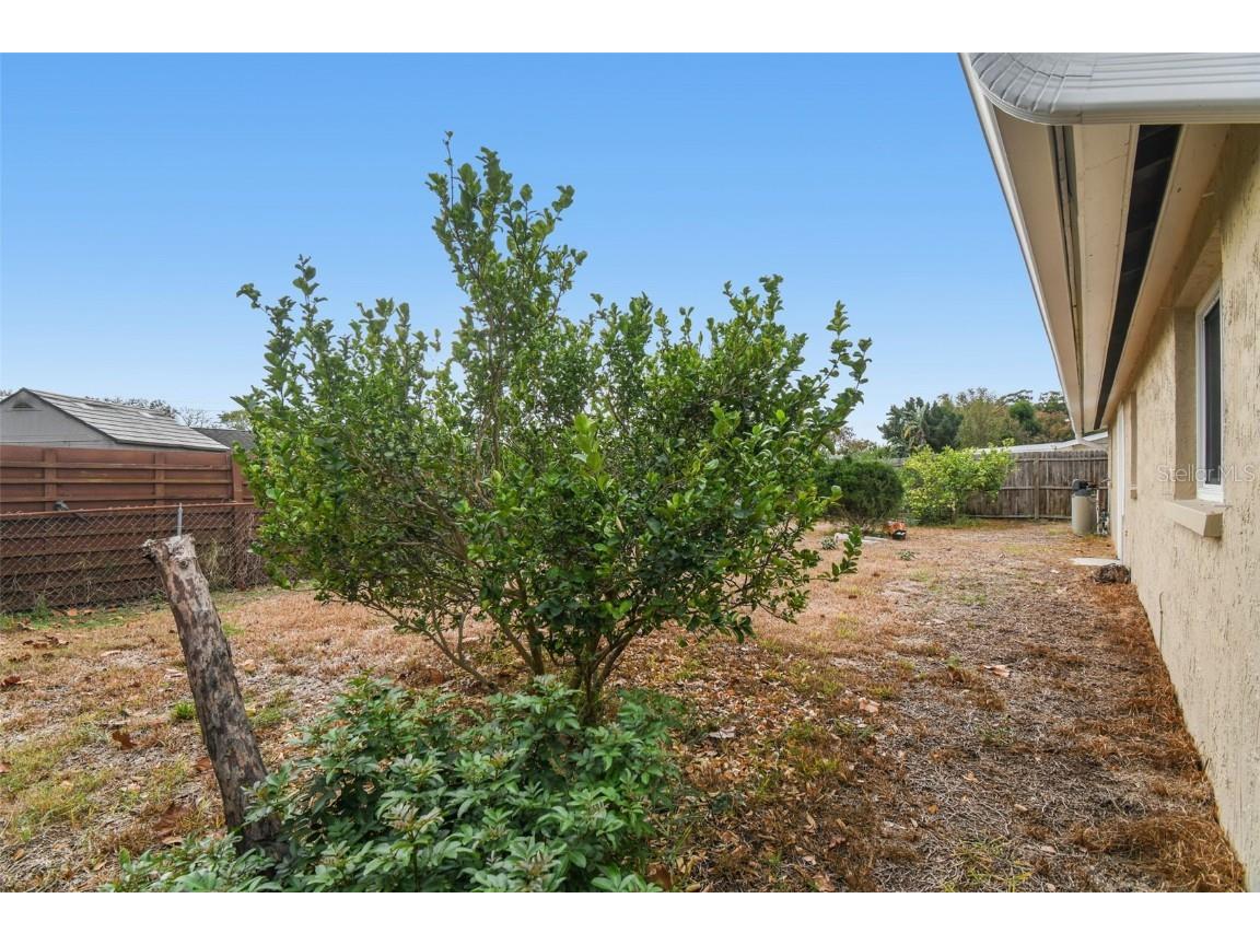 7810 Birchwood Dr Port Richey FL 34668 TB8455223 image46