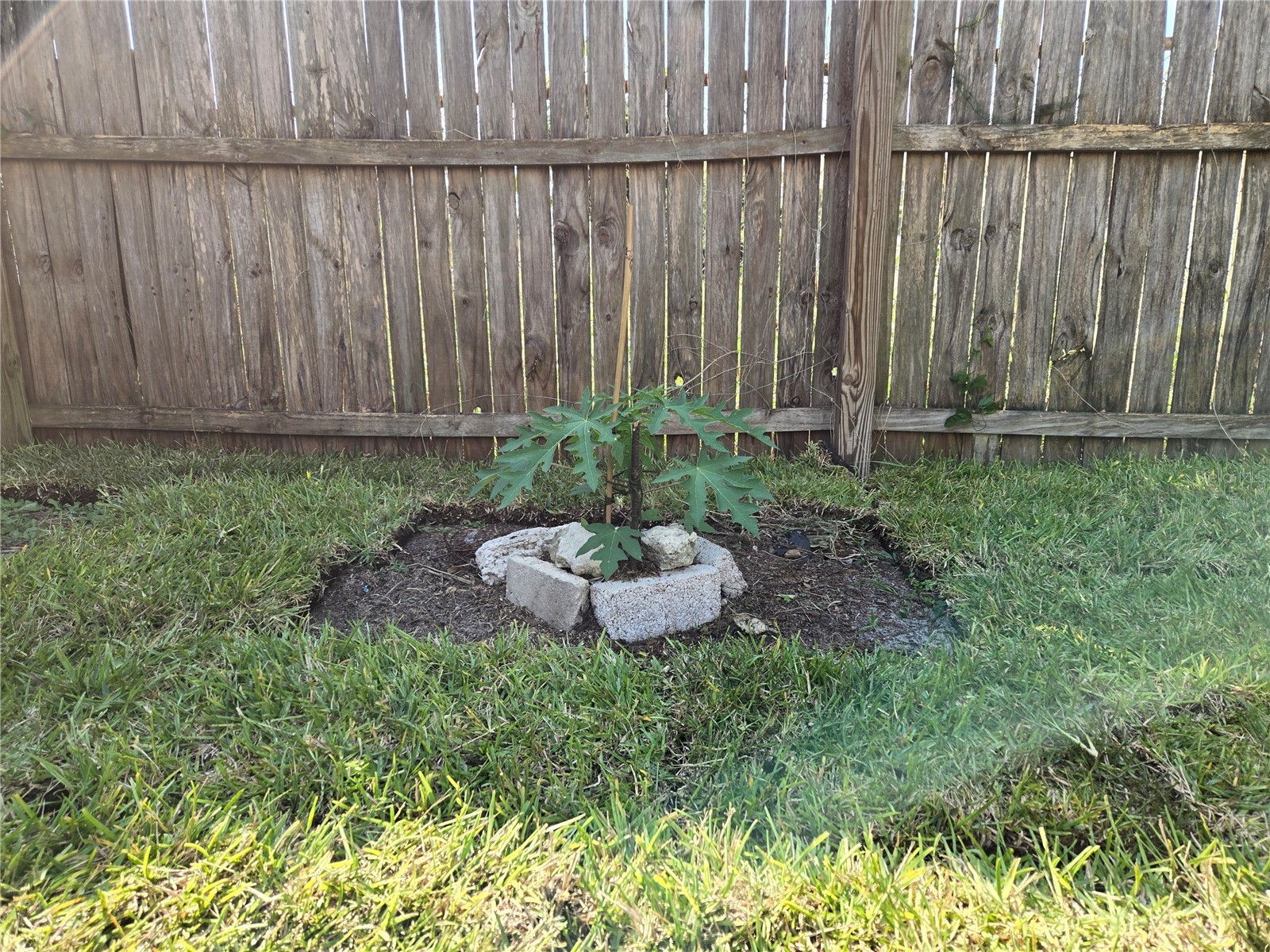 7810 Birchwood Dr Port Richey FL 34668 TB8455223 image70