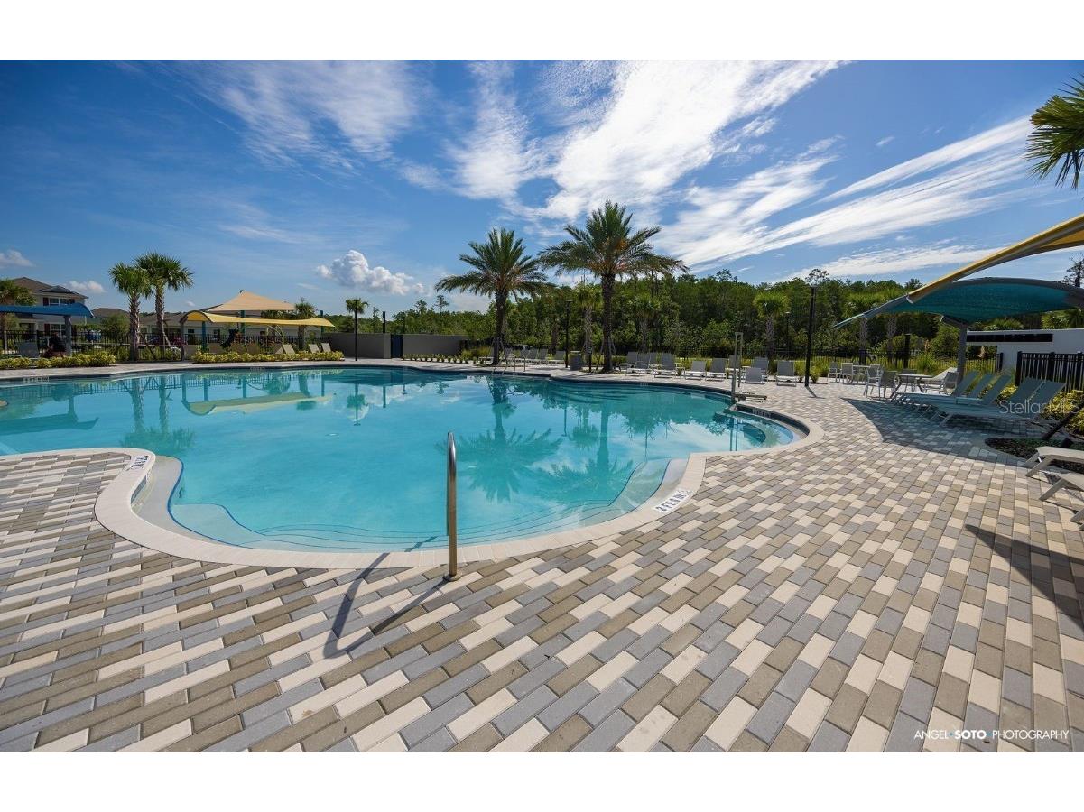 7810 Clove Hitch Way Orlando FL 32832 S5137278 image11