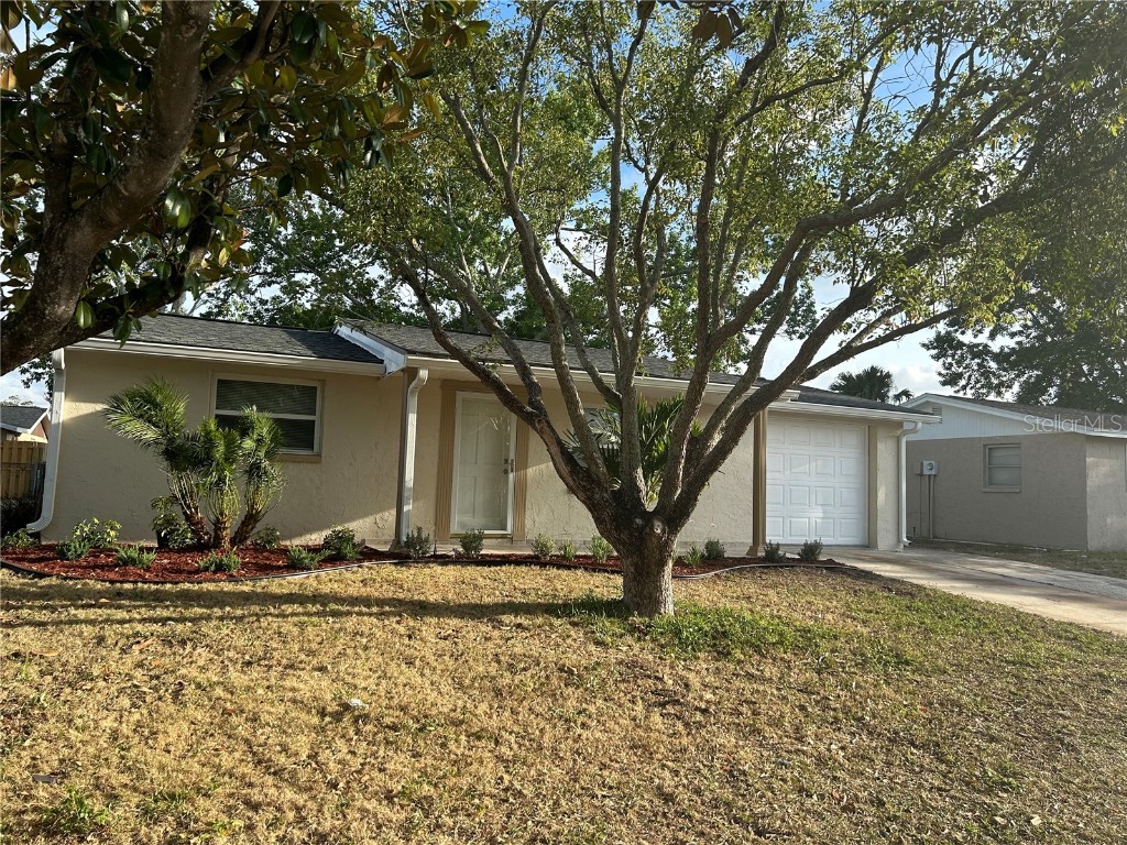 7810 Farmlawn Drive Port Richey FL 34668 W7855028 image1