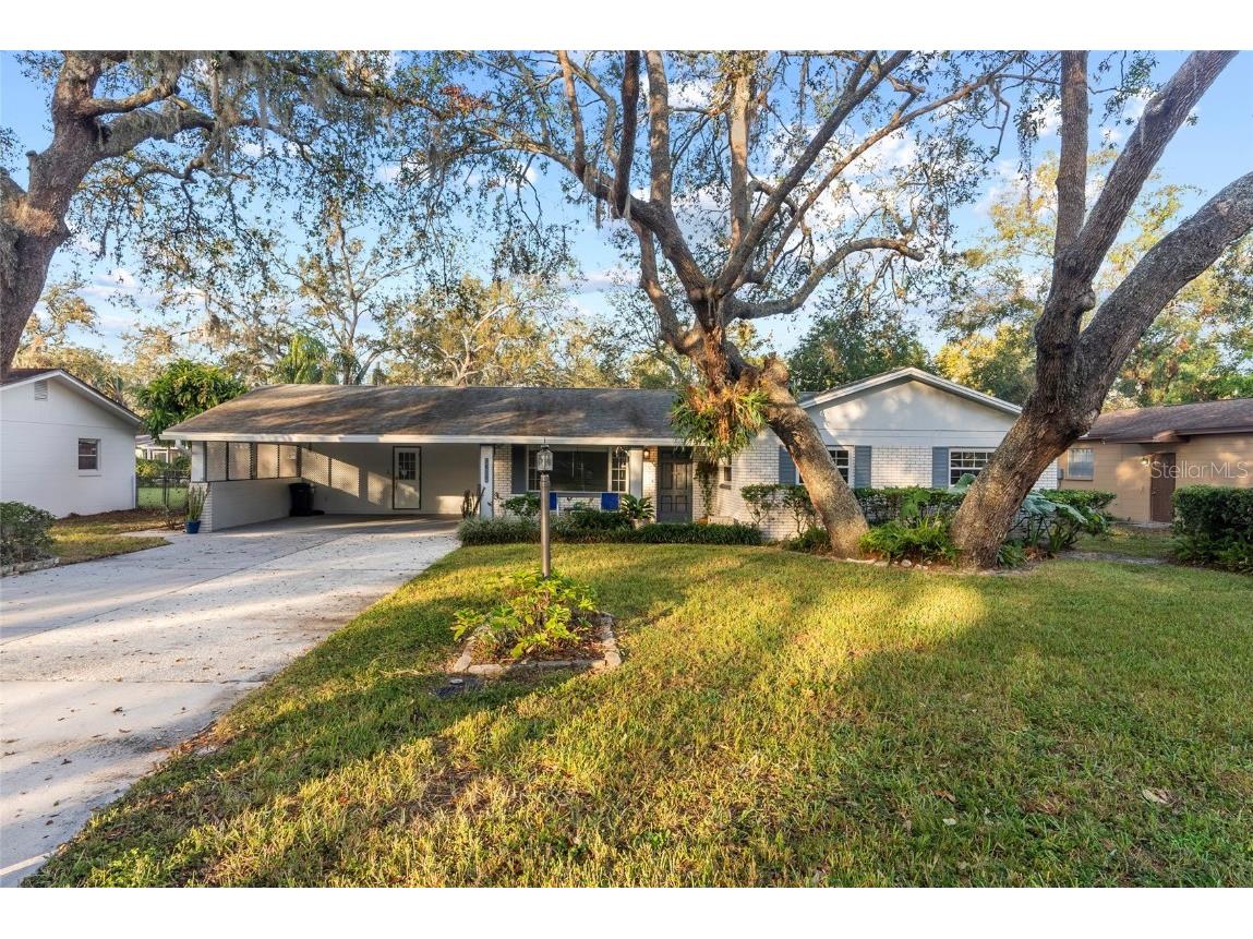 7810 N 53rd Street Tampa FL 33617 TB8328492 image1