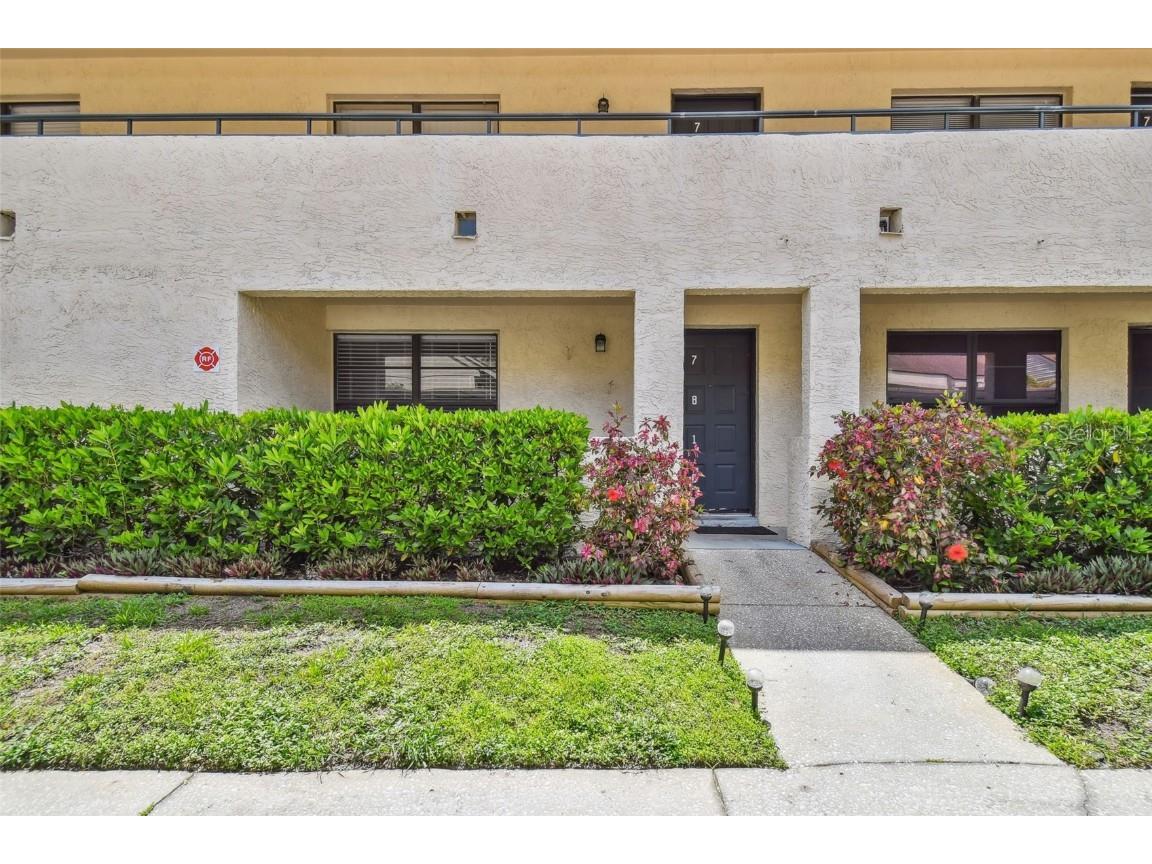 7810 Niagara Avenue #203 Tampa FL 33617 T3451071 image1