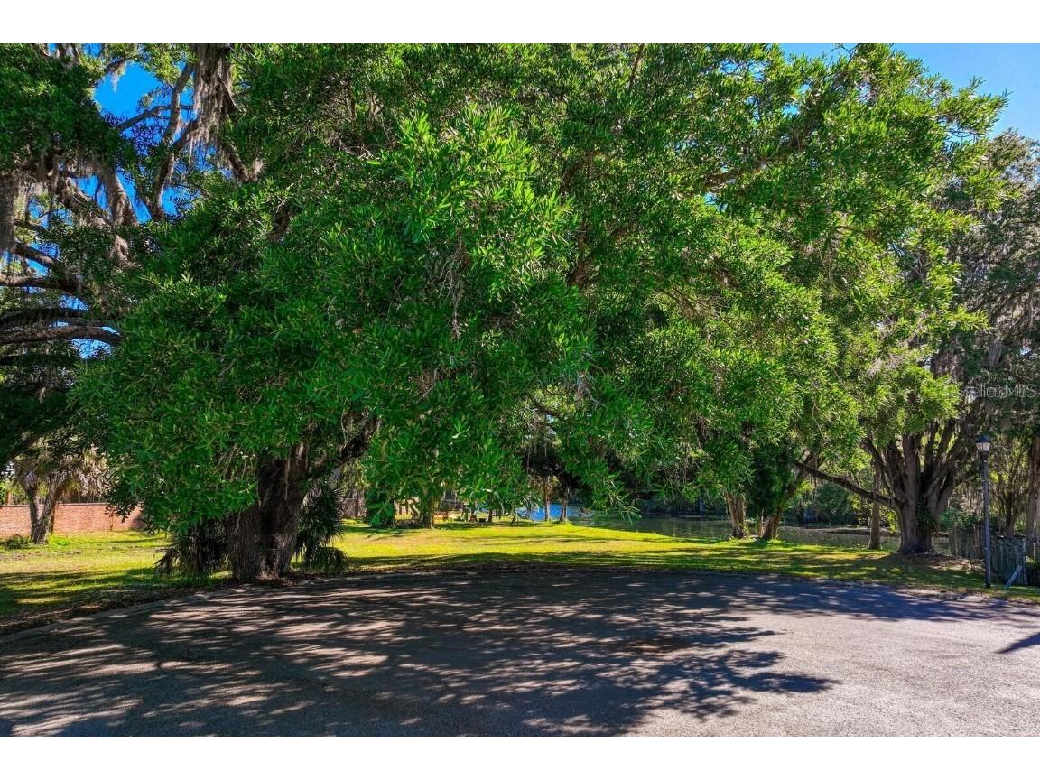 7810 Terrace Oaks Court Temple Terrace FL 33617 - HILLSBOROUGH RIVER T3485756 image11