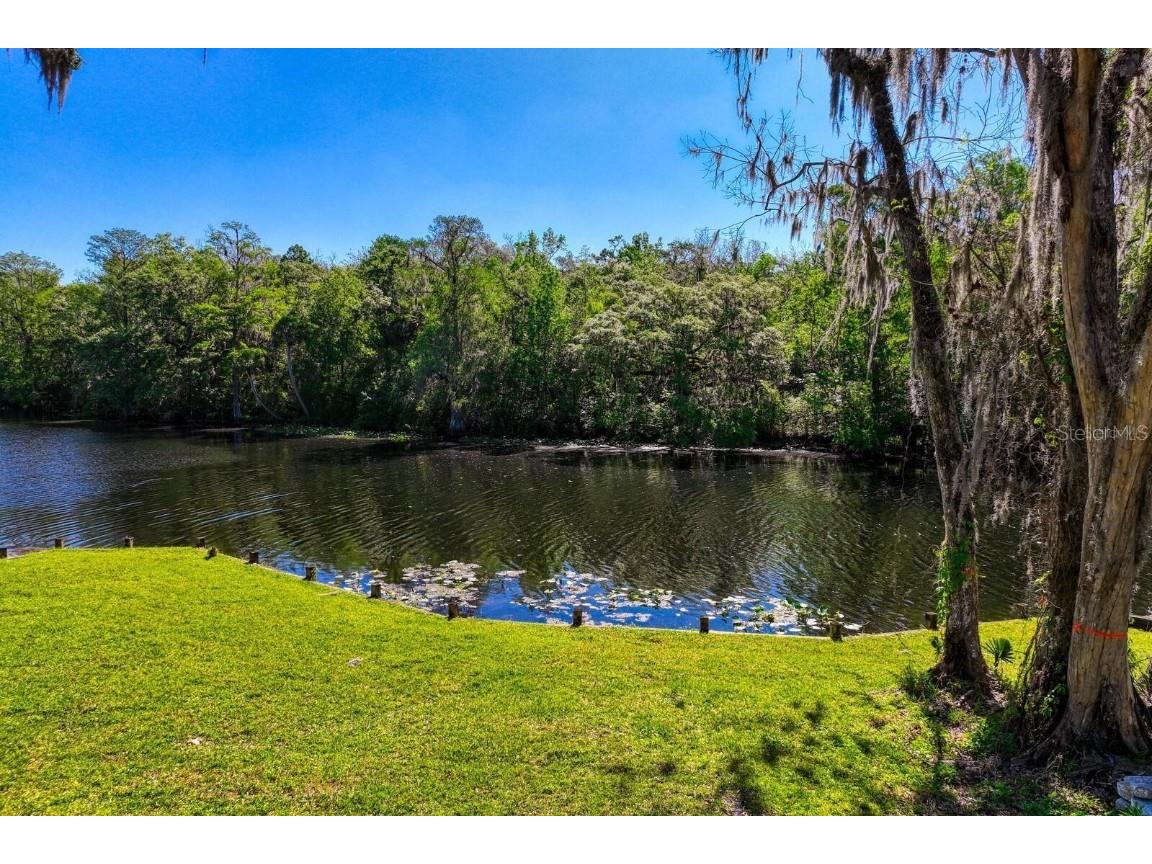 7810 Terrace Oaks Court Temple Terrace FL 33617 - HILLSBOROUGH RIVER T3485756 image12