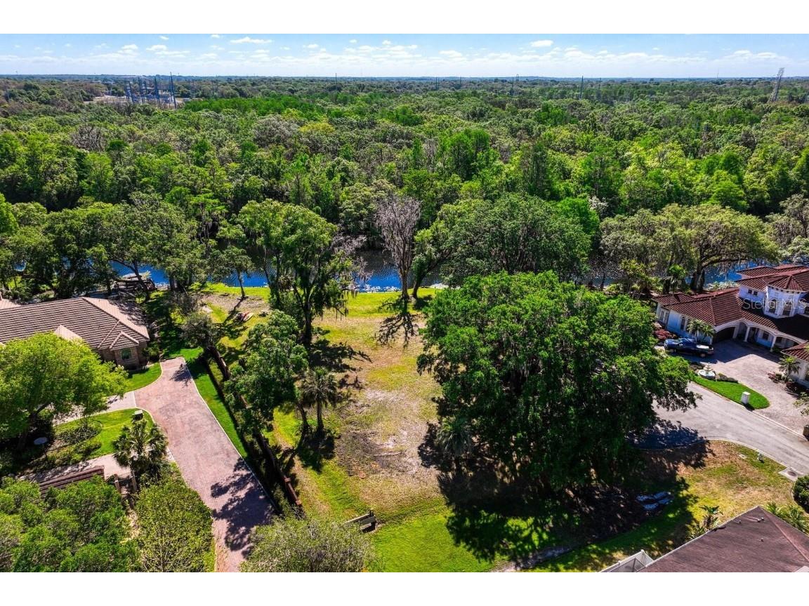 7810 Terrace Oaks Court Temple Terrace FL 33617 - HILLSBOROUGH RIVER T3485756 image20