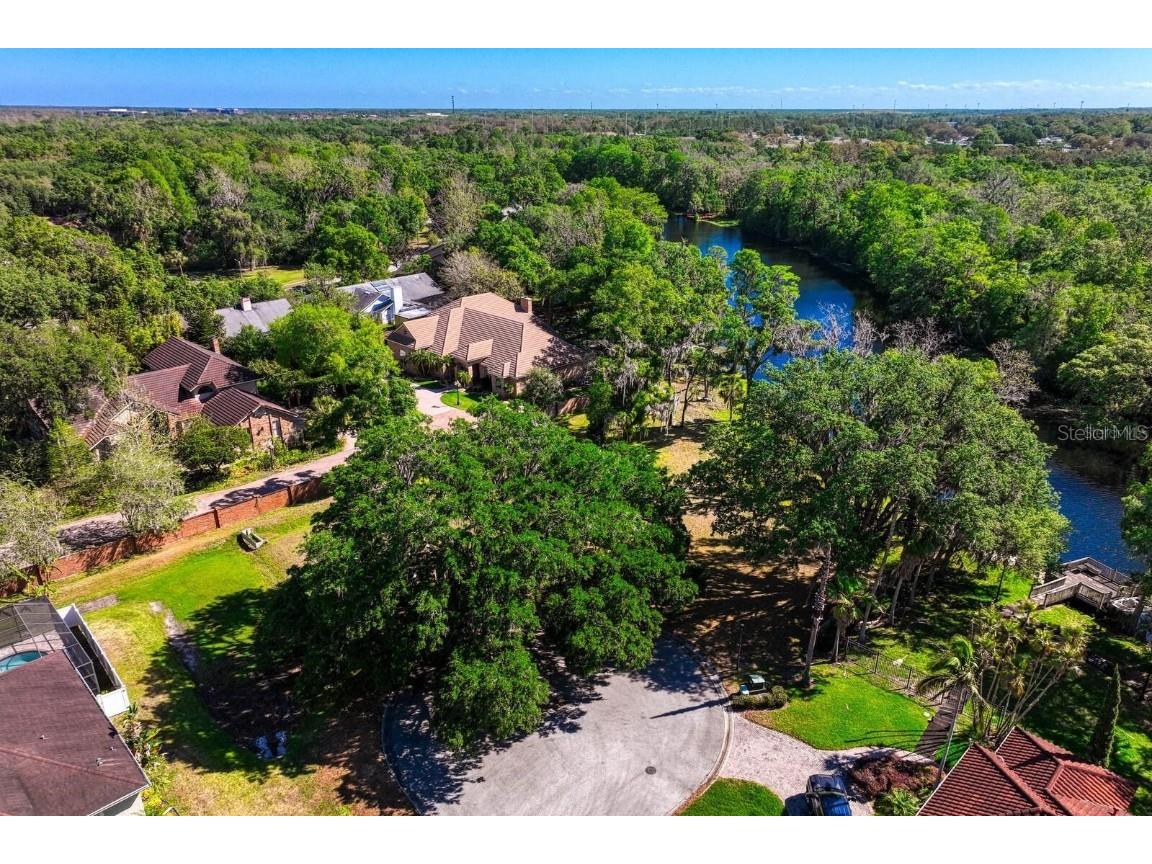 7810 Terrace Oaks Court Temple Terrace FL 33617 - HILLSBOROUGH RIVER T3485756 image24