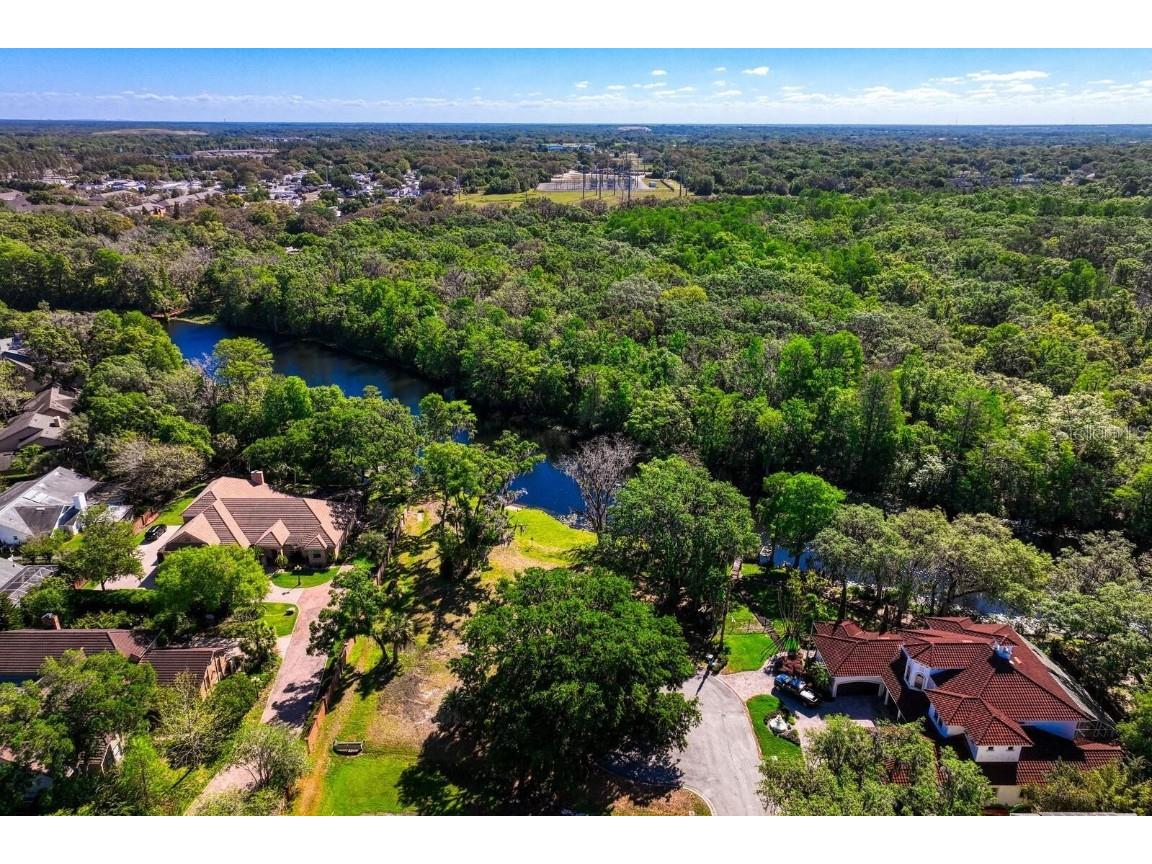 7810 Terrace Oaks Court Temple Terrace FL 33617 - HILLSBOROUGH RIVER T3485756 image29