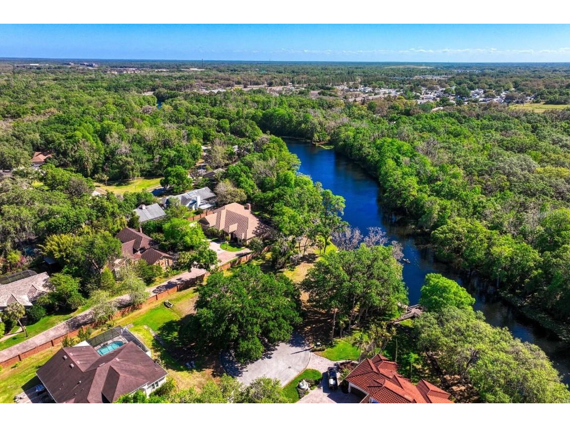 7810 Terrace Oaks Court Temple Terrace FL 33617 - HILLSBOROUGH RIVER T3485756 image30