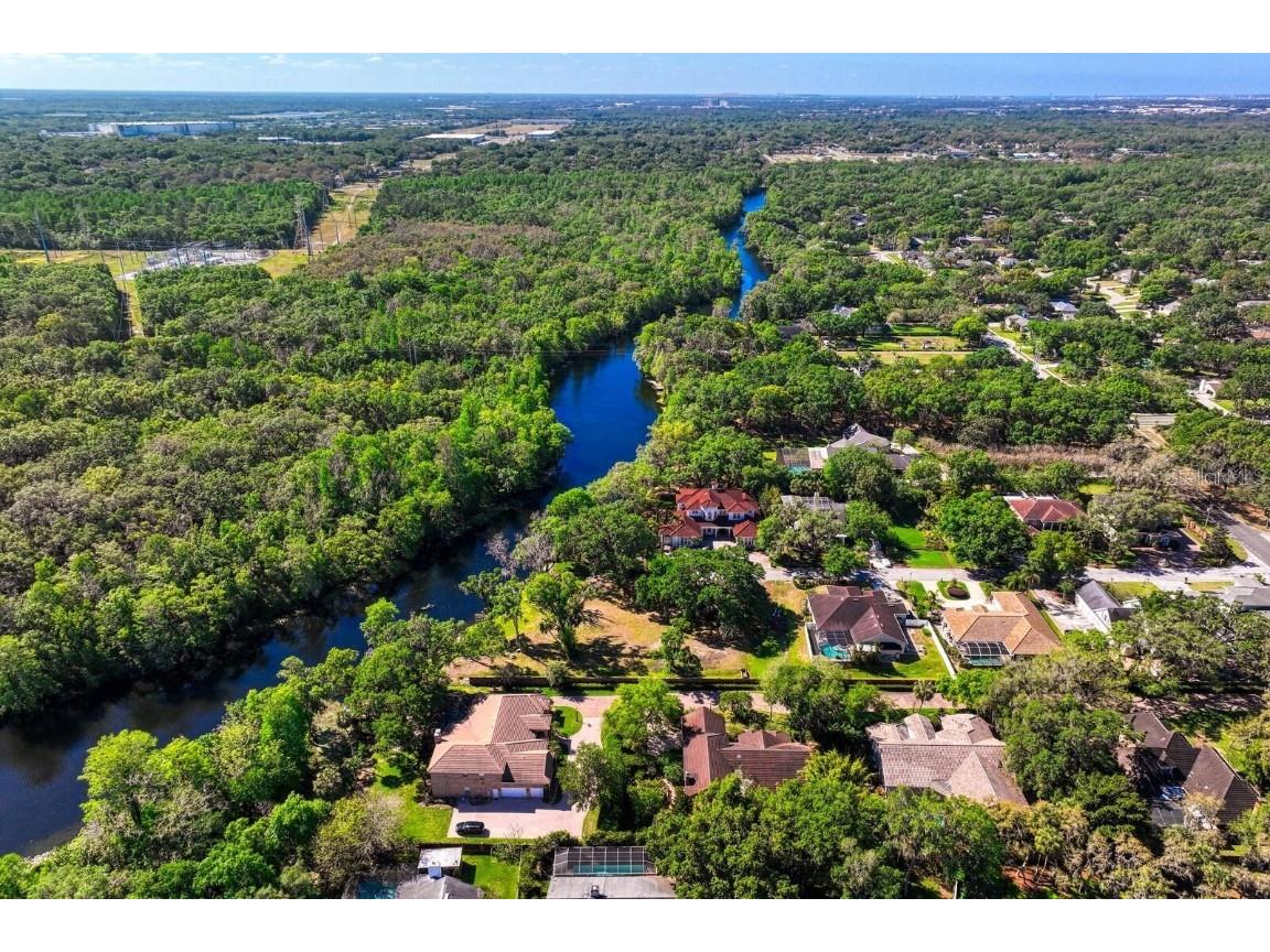 7810 Terrace Oaks Court Temple Terrace FL 33617 - HILLSBOROUGH RIVER T3485756 image33