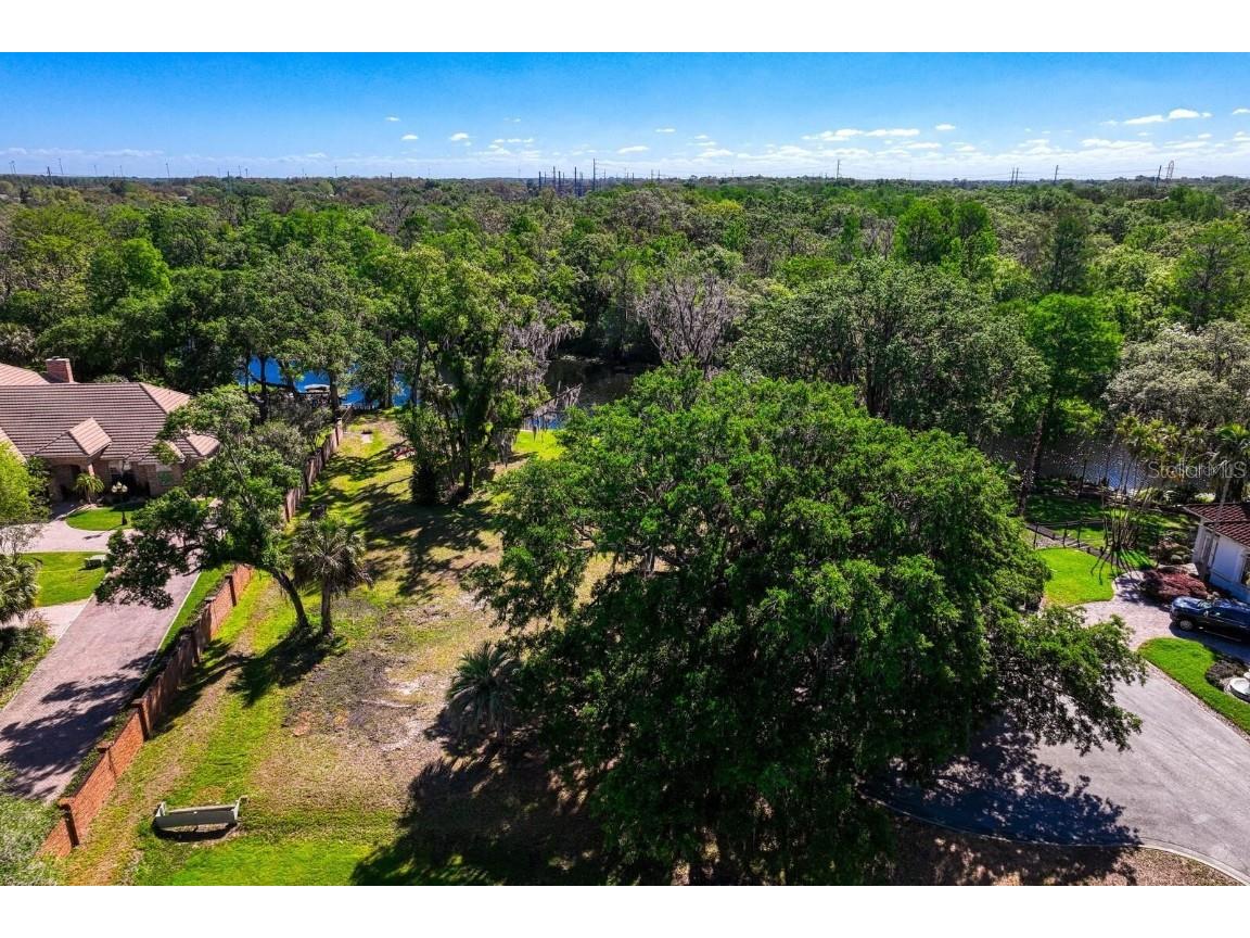 7810 Terrace Oaks Court Temple Terrace FL 33617 - HILLSBOROUGH RIVER T3485756 image37