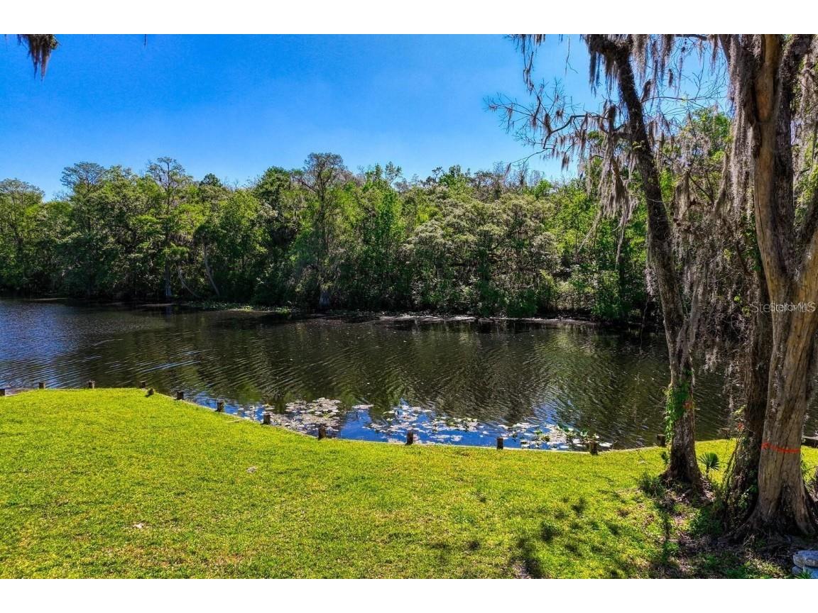 7810 Terrace Oaks Court Temple Terrace FL 33617 - HILLSBOROUGH RIVER TB8429558 image12