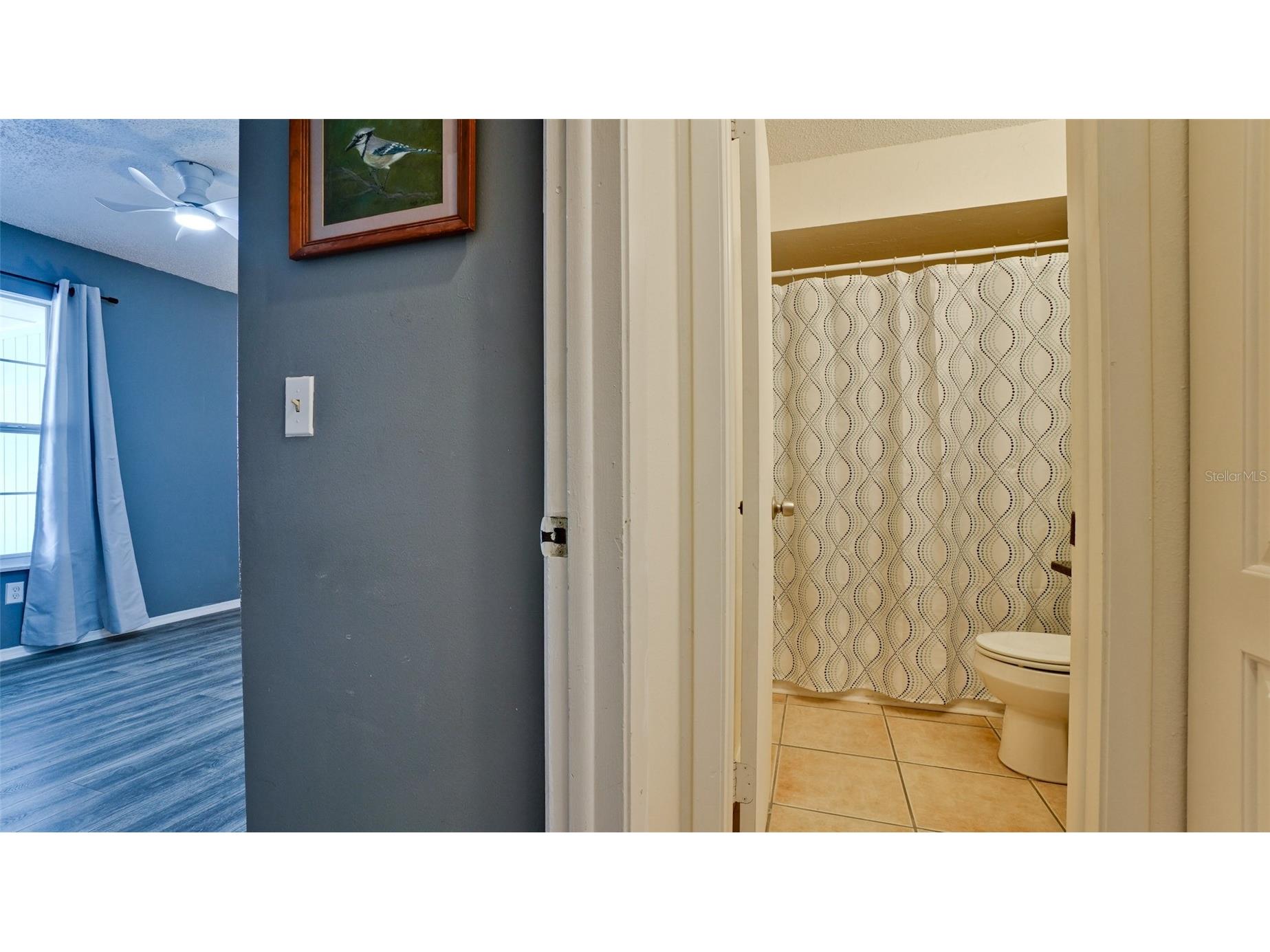 7811 43rd Avenue Drive W #19-A Bradenton FL 34209 A4676814 image22