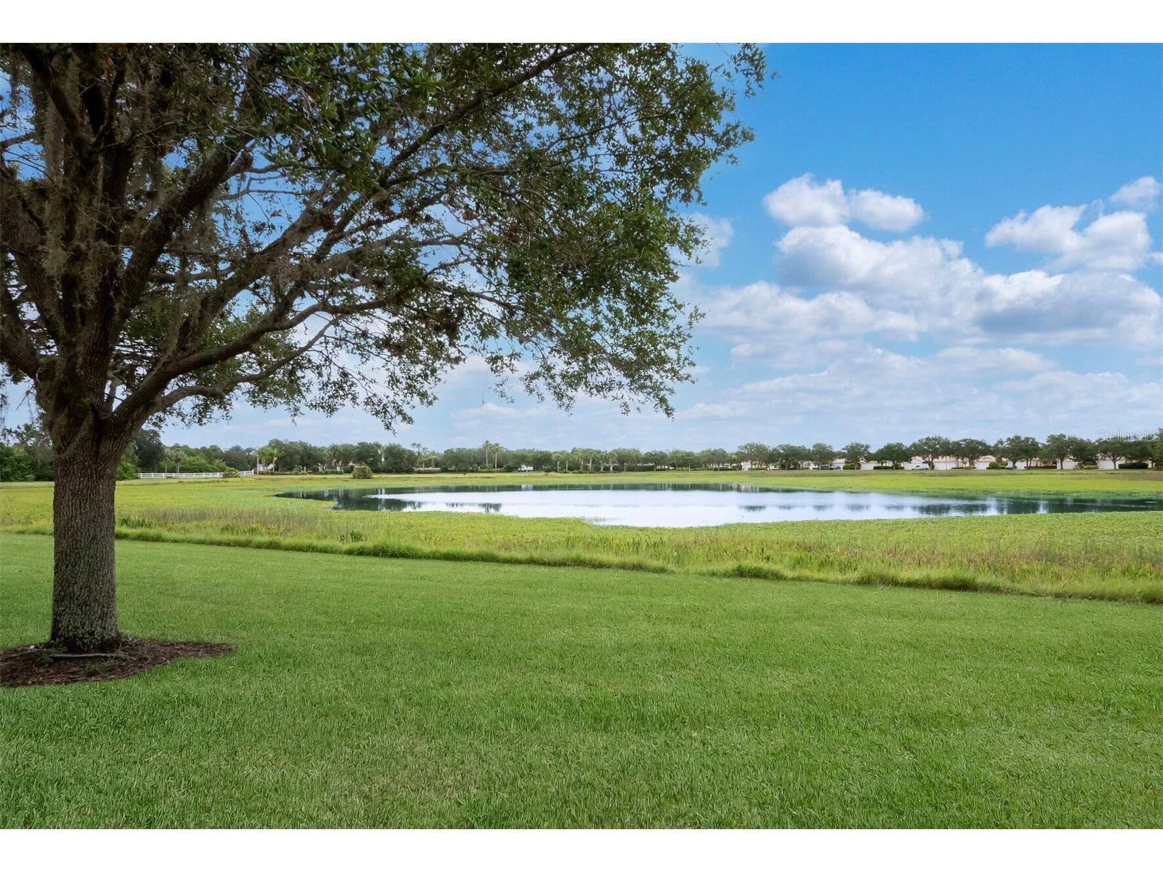 7811 Bergamo Avenue Sarasota FL 34238 A4683192 image32