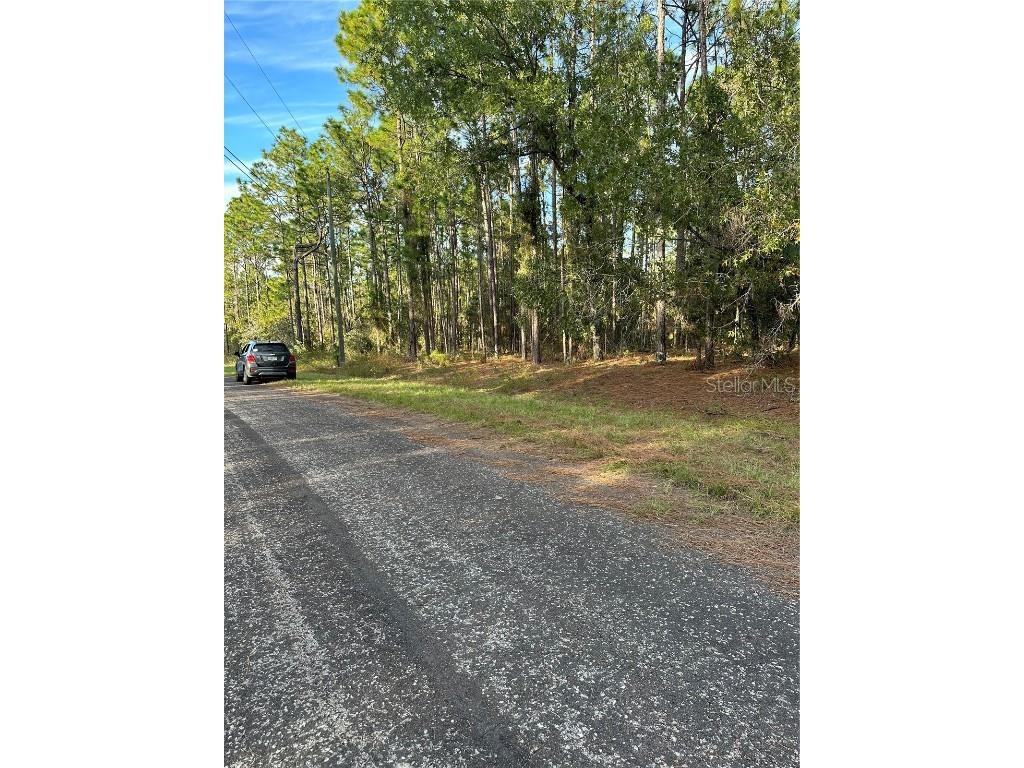 7811 N Vivian Way Citrus Springs FL 34434 U8218772 image1