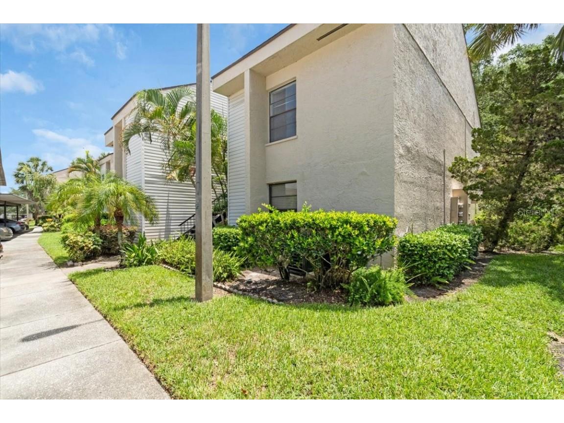 7811 Niagara Avenue #2125 Tampa FL 33617 TB8399085 image1