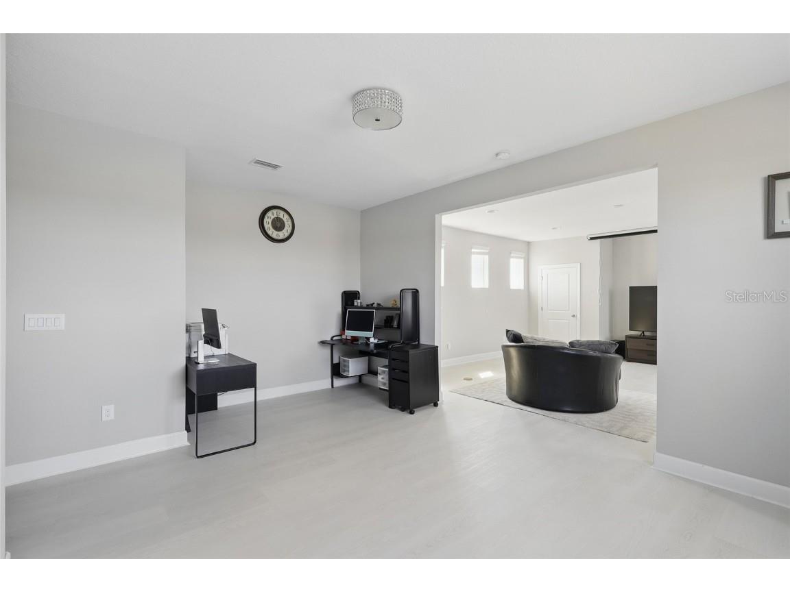 7811 Roma Dune Drive Wesley Chapel FL 33545 TB8441832 image22