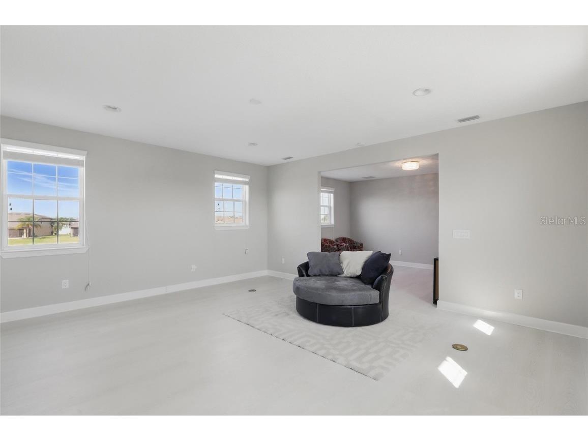 7811 Roma Dune Drive Wesley Chapel FL 33545 TB8441832 image25