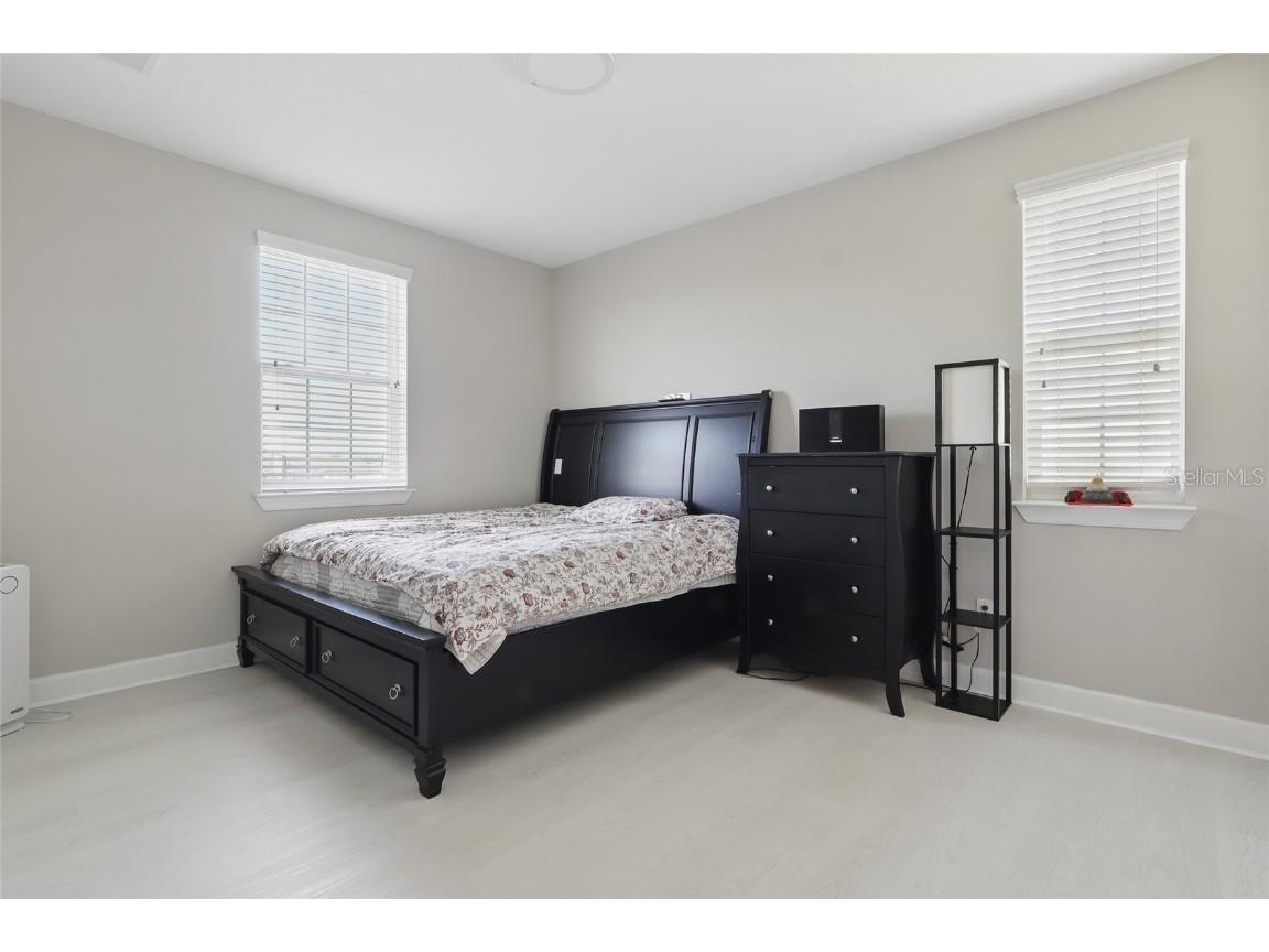 7811 Roma Dune Drive Wesley Chapel FL 33545 TB8441832 image30