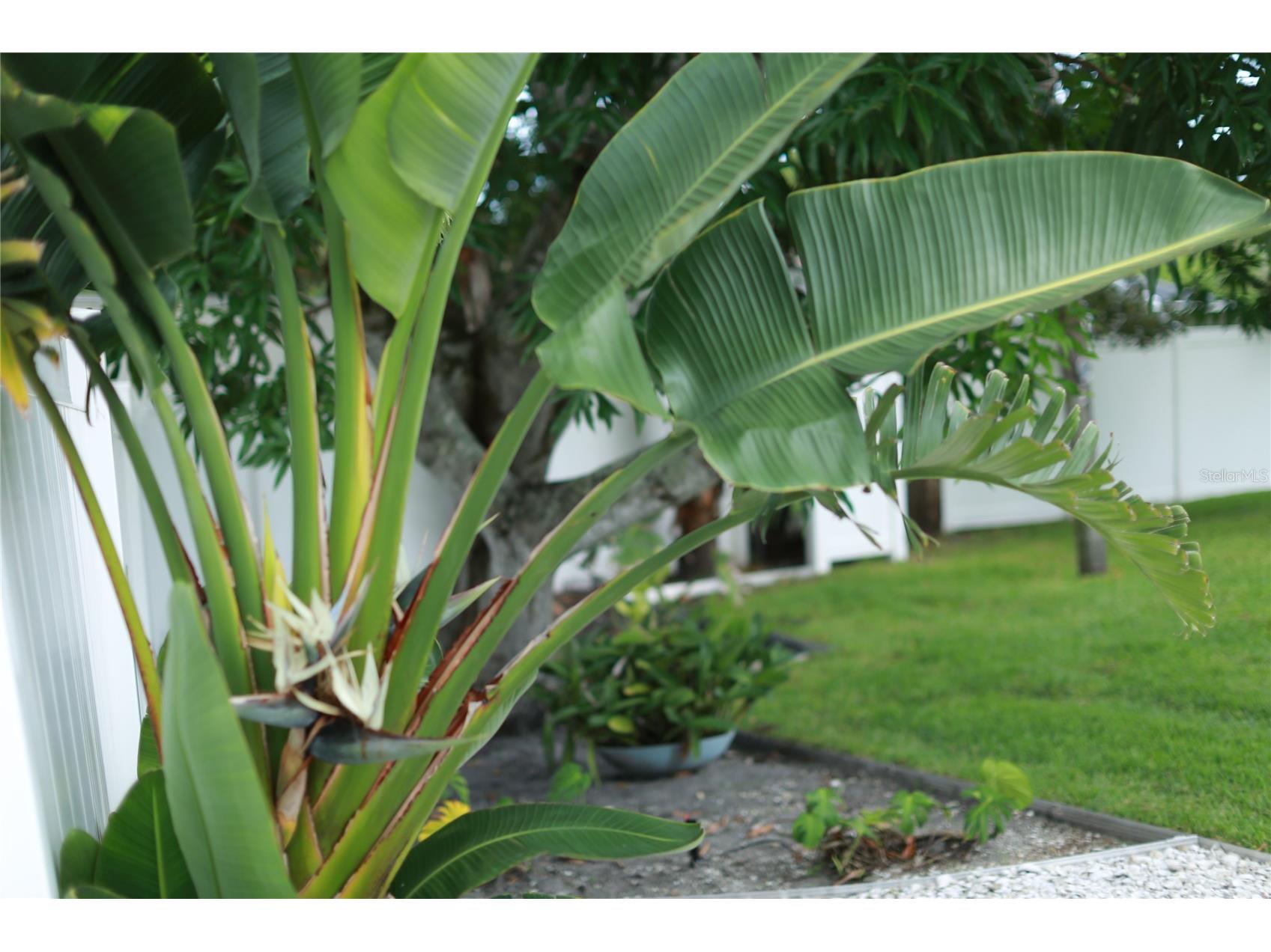 7812 San Juan Avenue Bradenton FL 34209 A4695057 image37