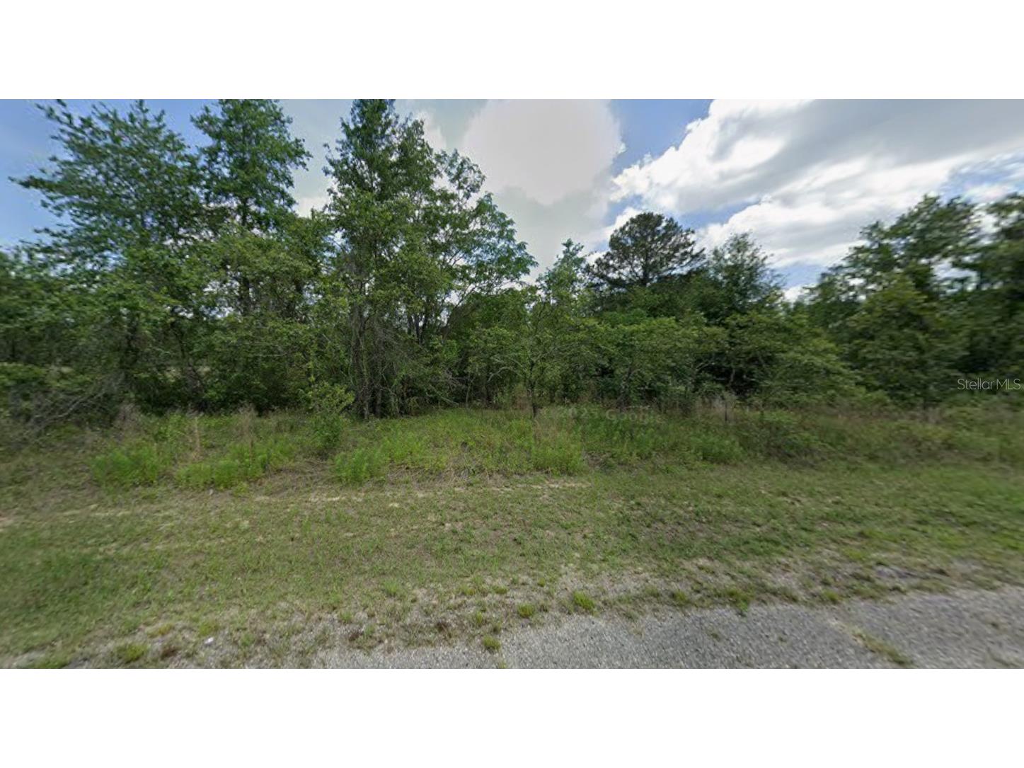 7813 N Cedro Road Dunnellon FL 34434 G5114865 image2