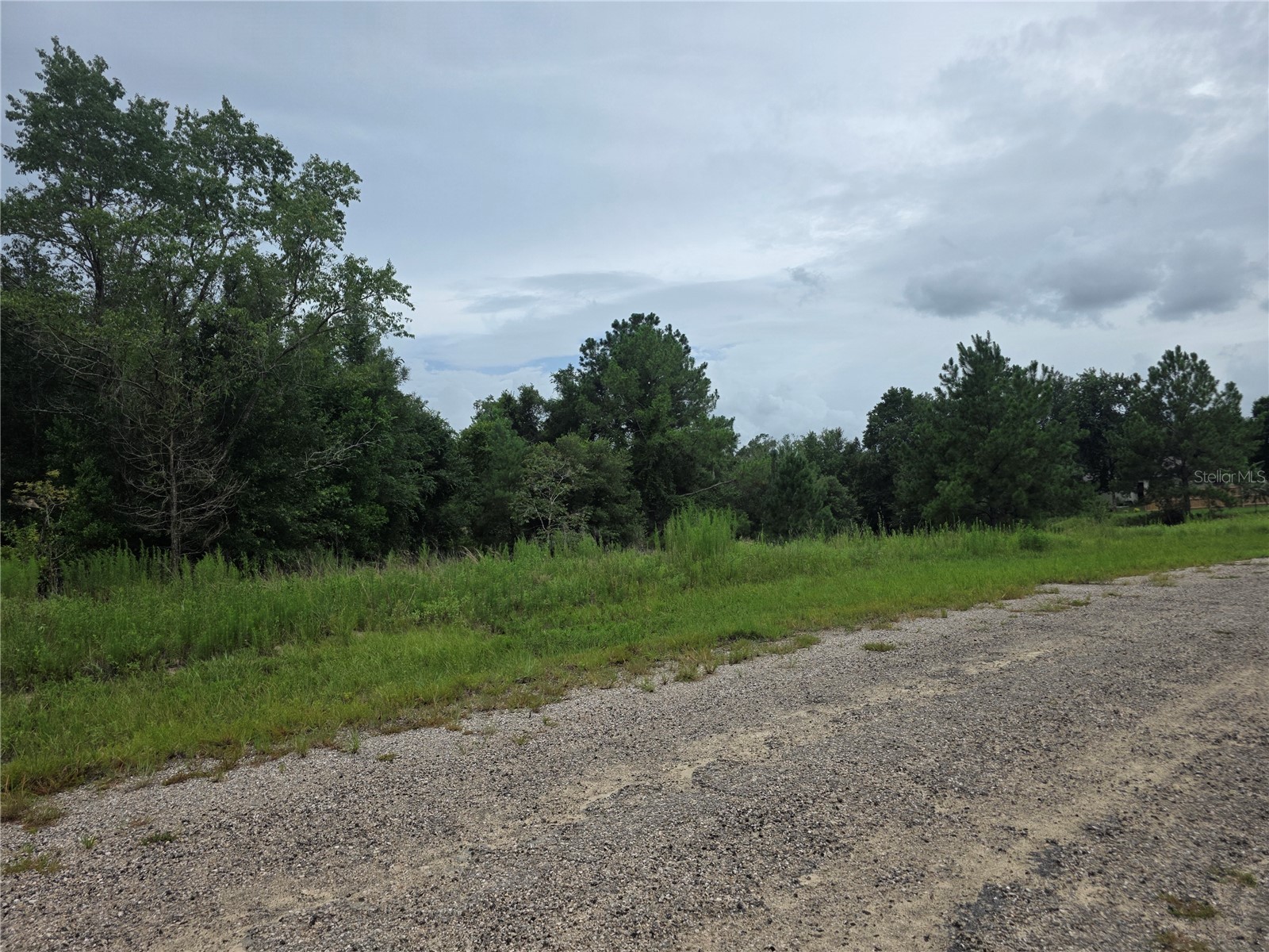 7813 N Cedro Road Dunnellon FL 34434 G5114865 image3